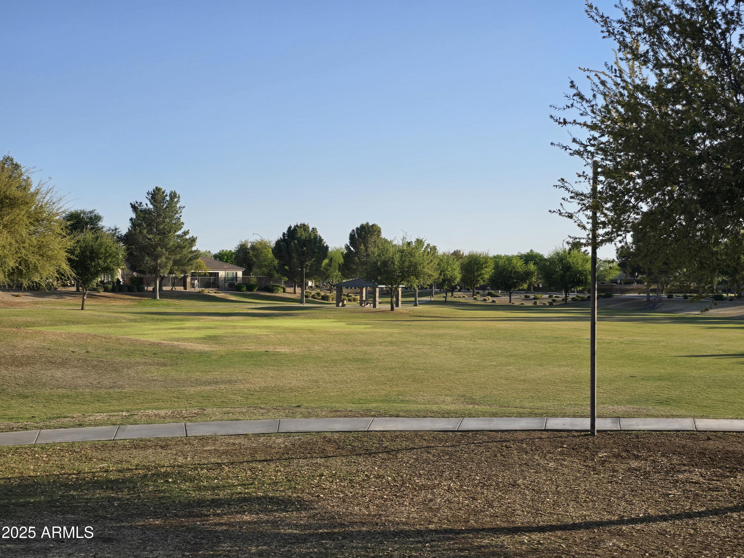 Photo #45