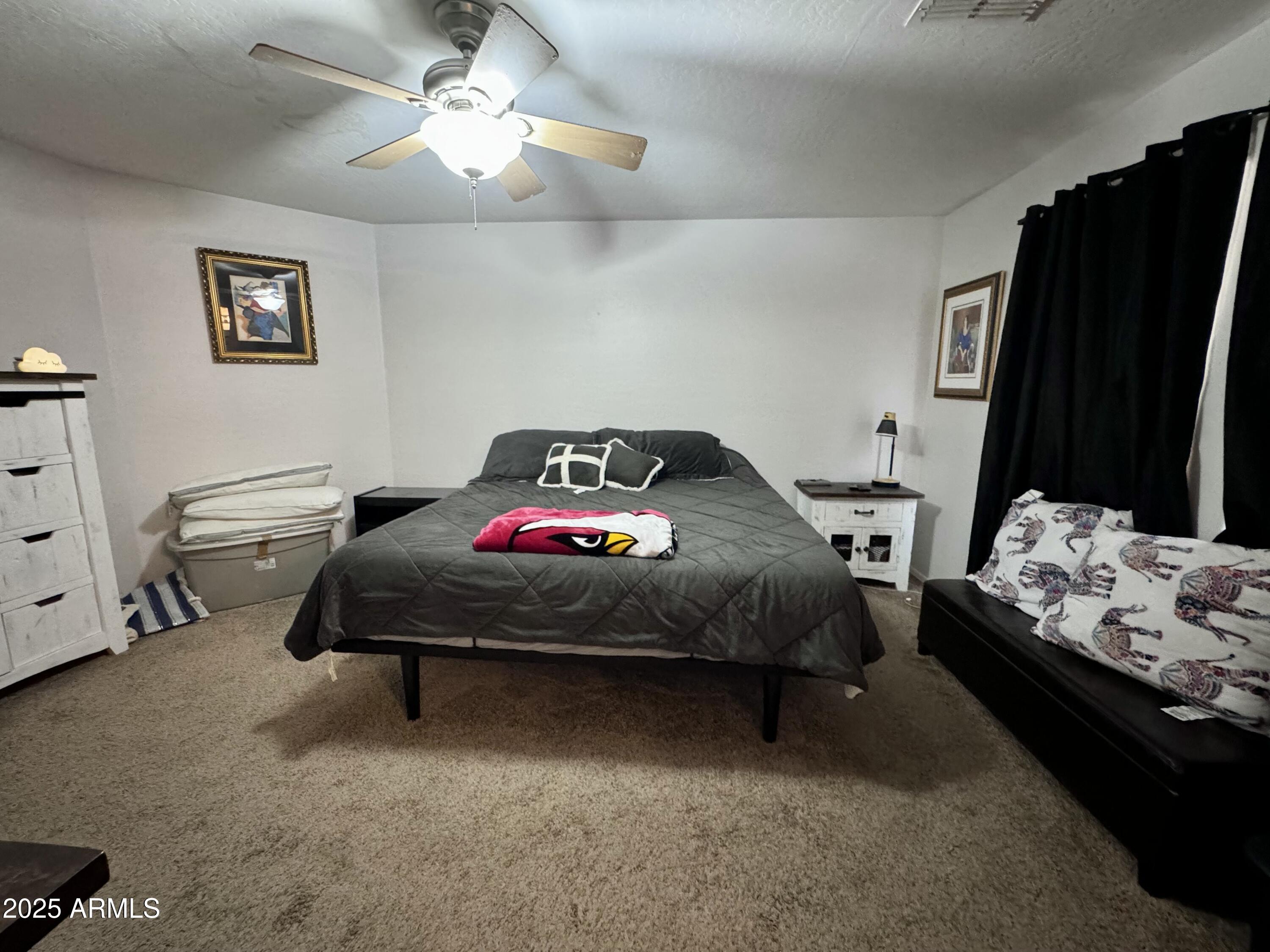 Photo #24