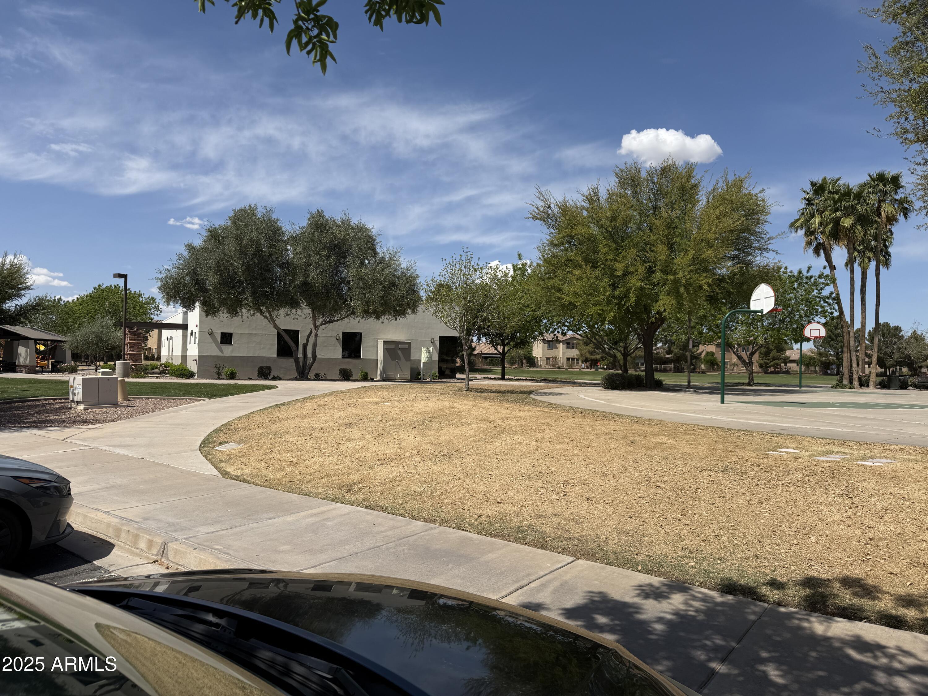 Photo #41