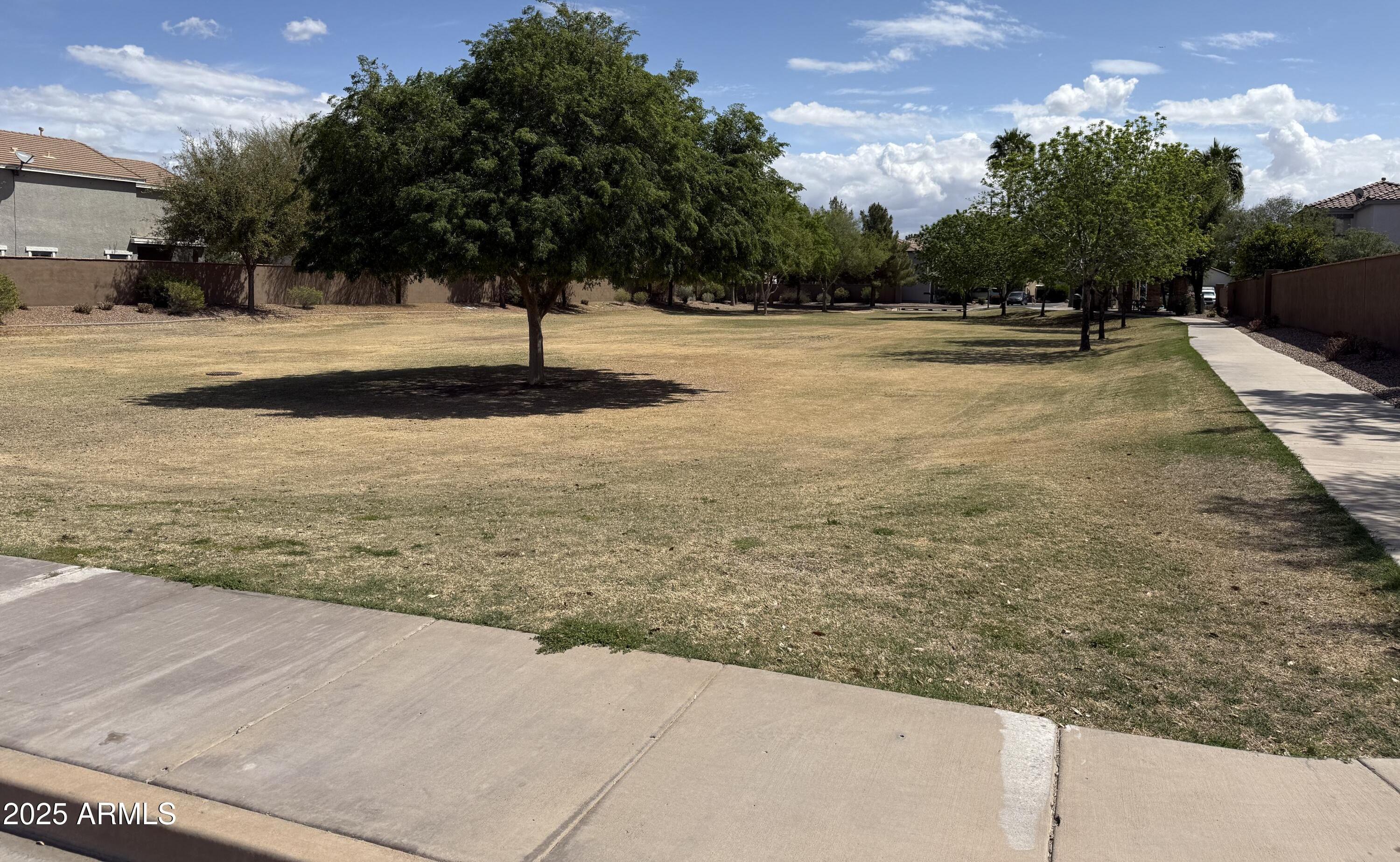 Photo #35