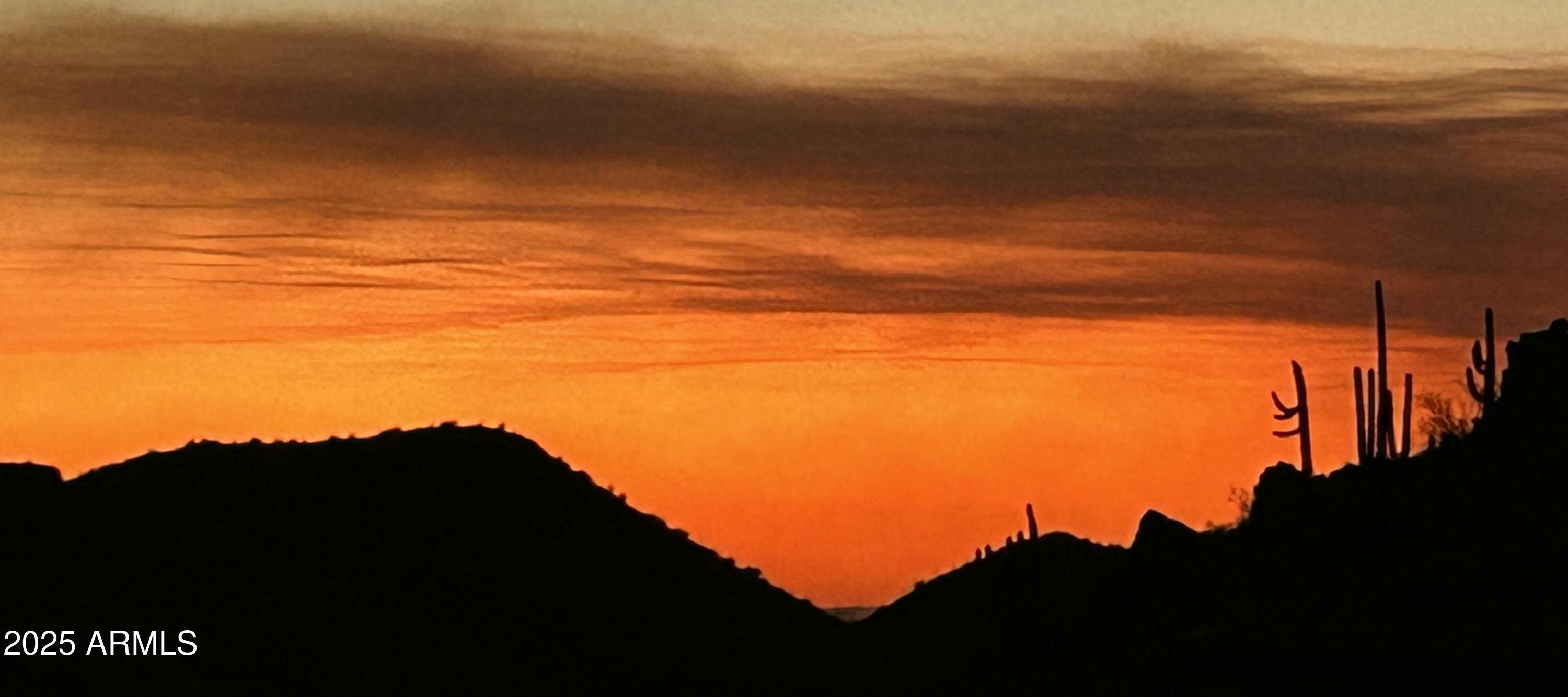 Photo #97