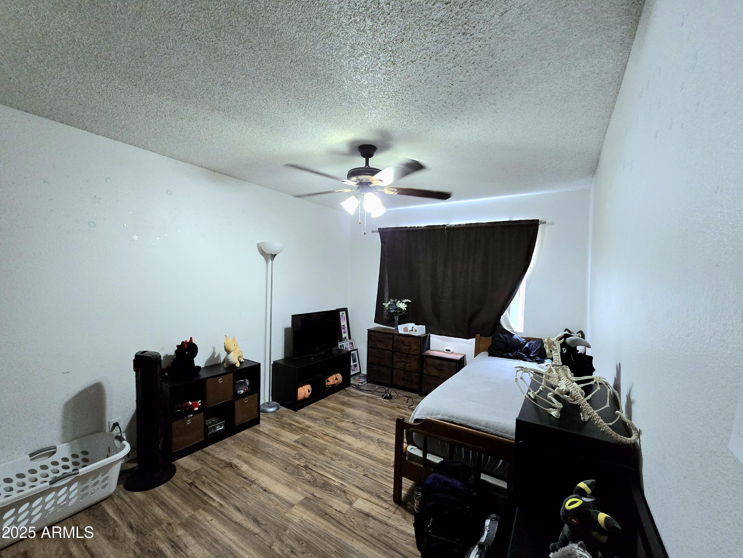 Photo #8