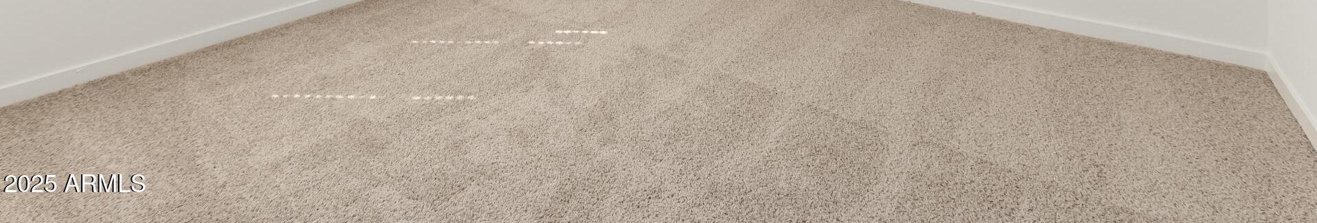 Photo #24