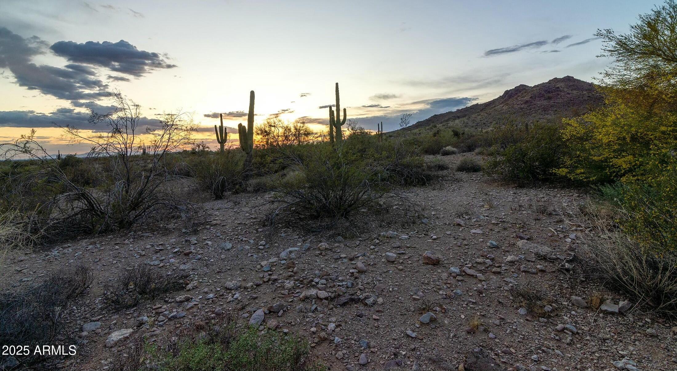 Photo #56