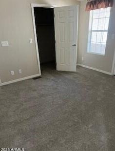 Photo #41