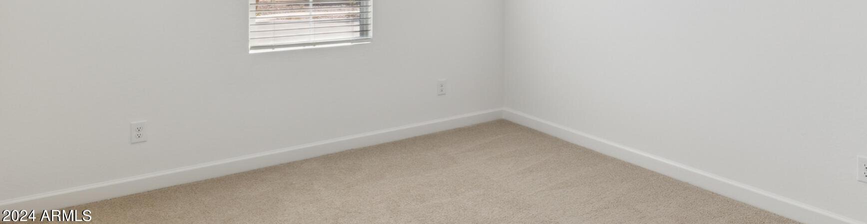 Photo #4