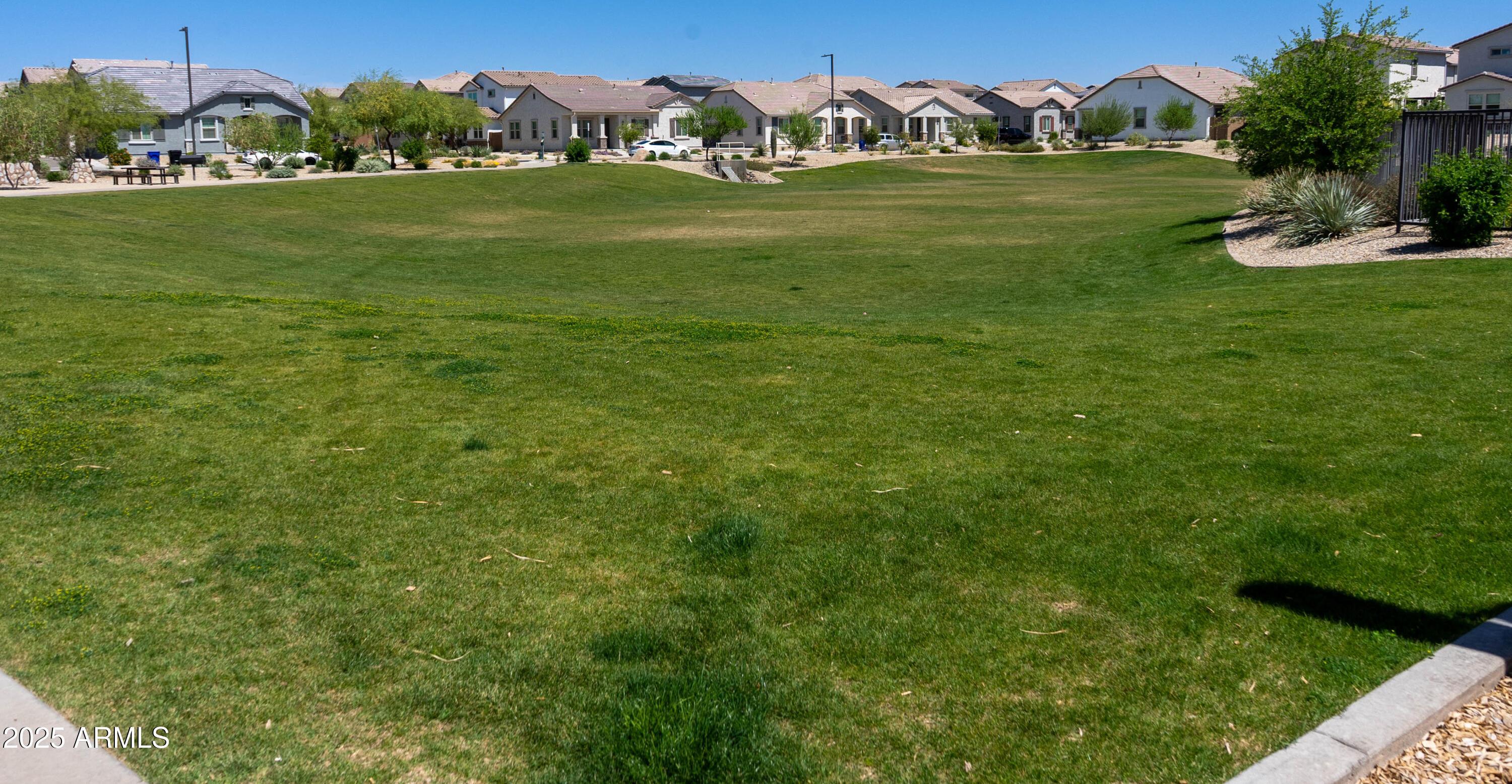 Photo #37