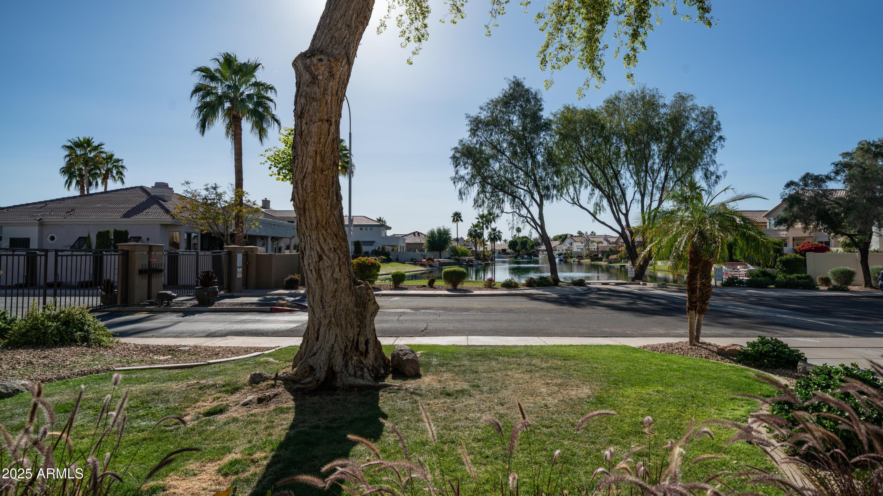 Photo #14