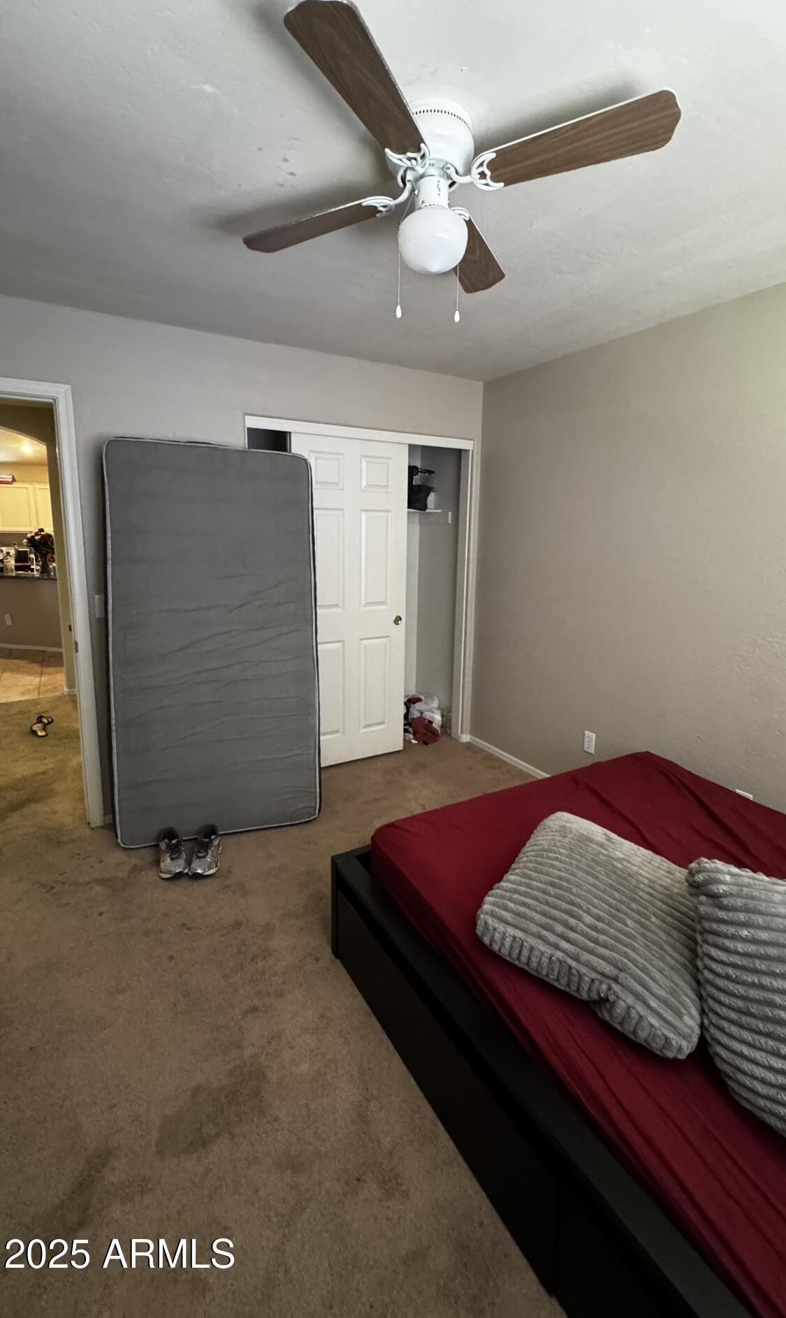Photo #39