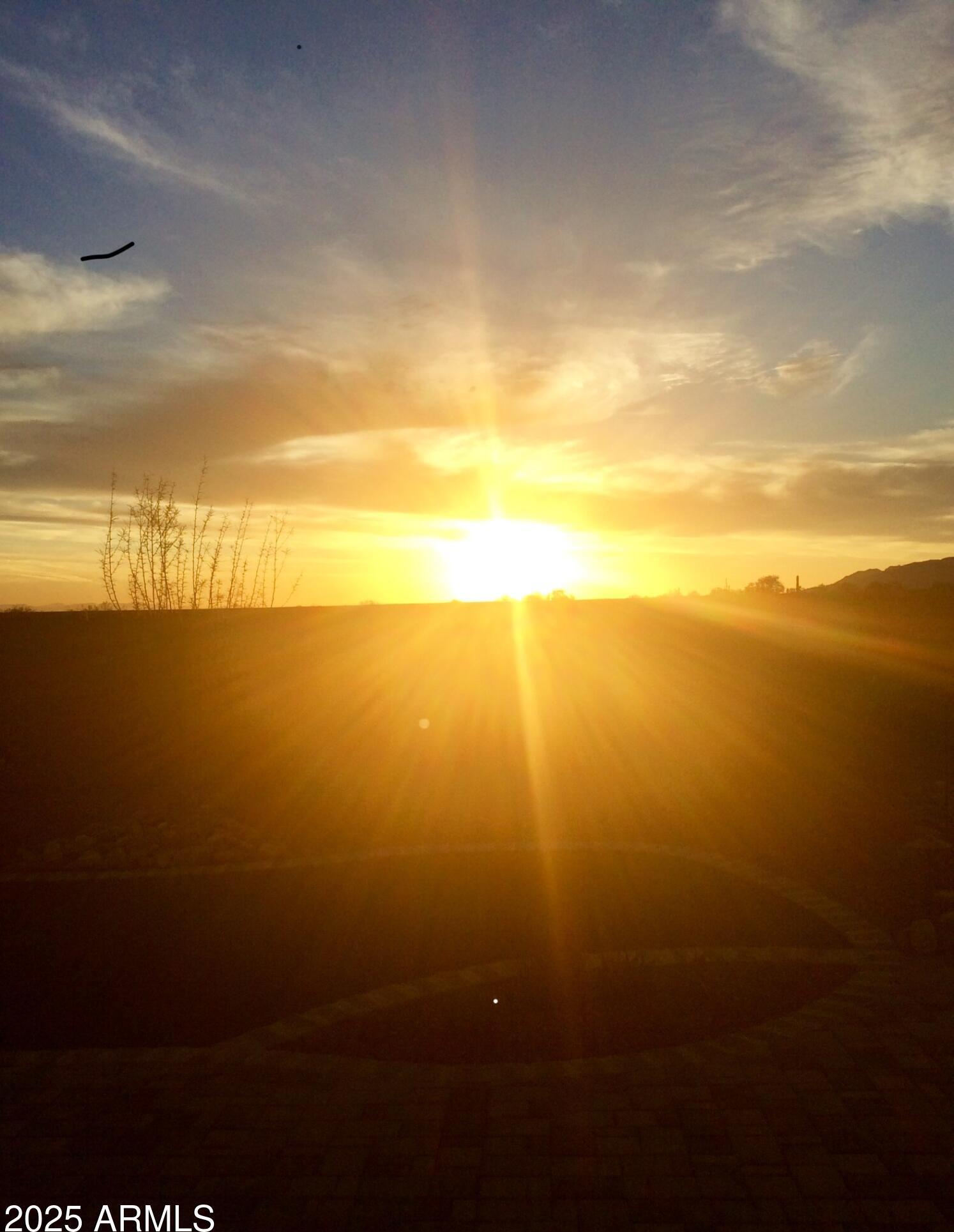 Photo #46