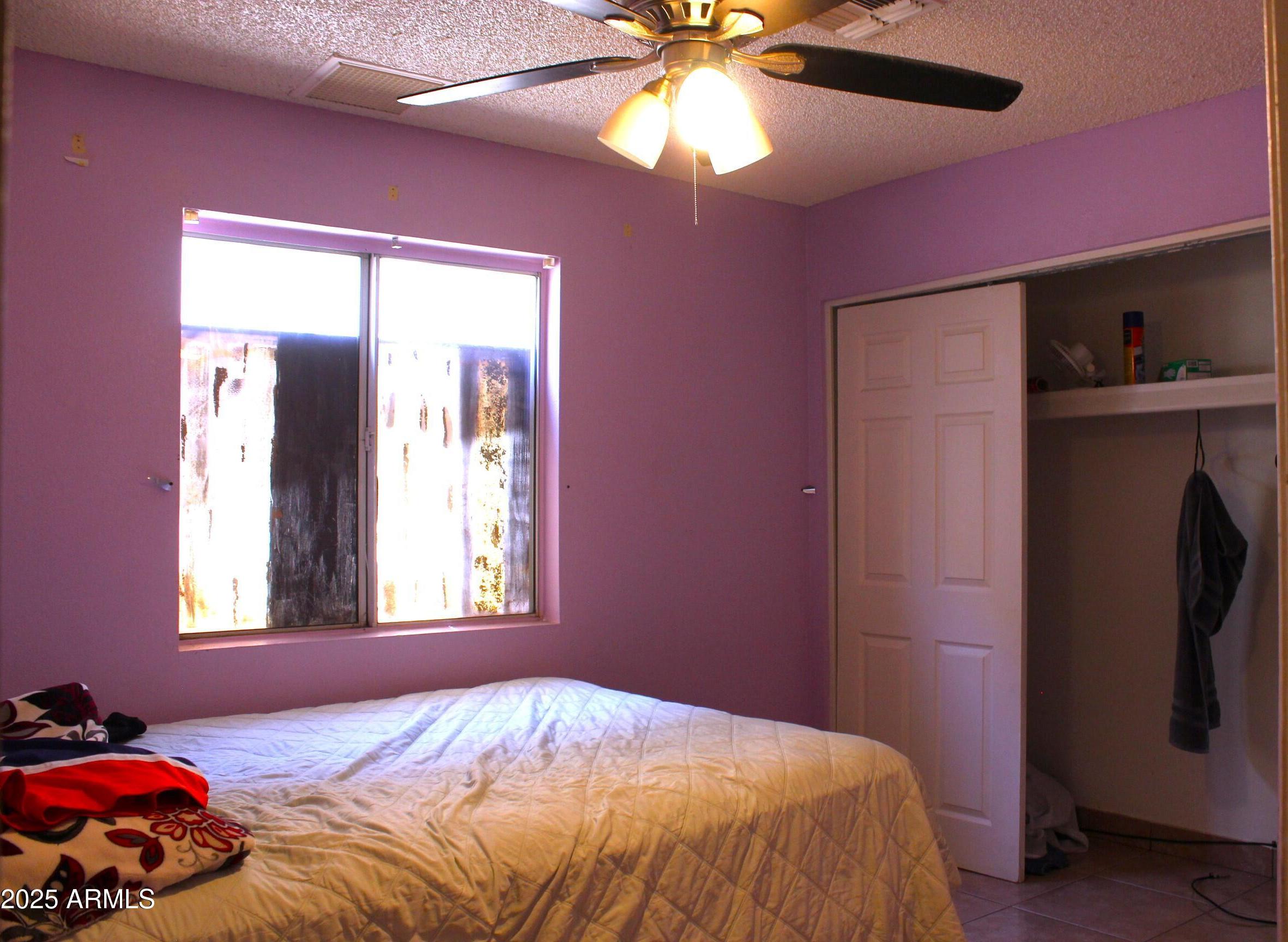 Photo #12