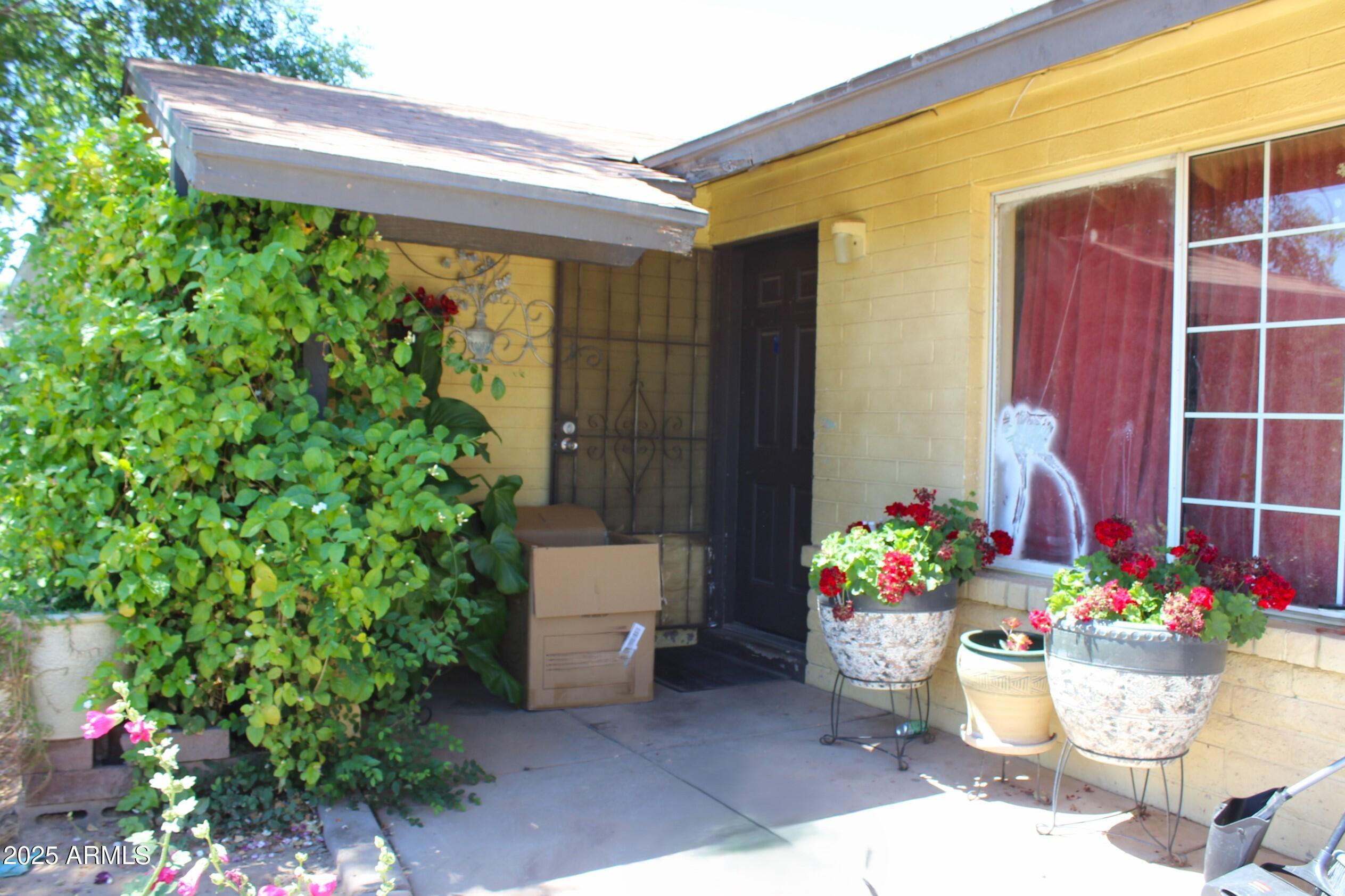 Photo #4