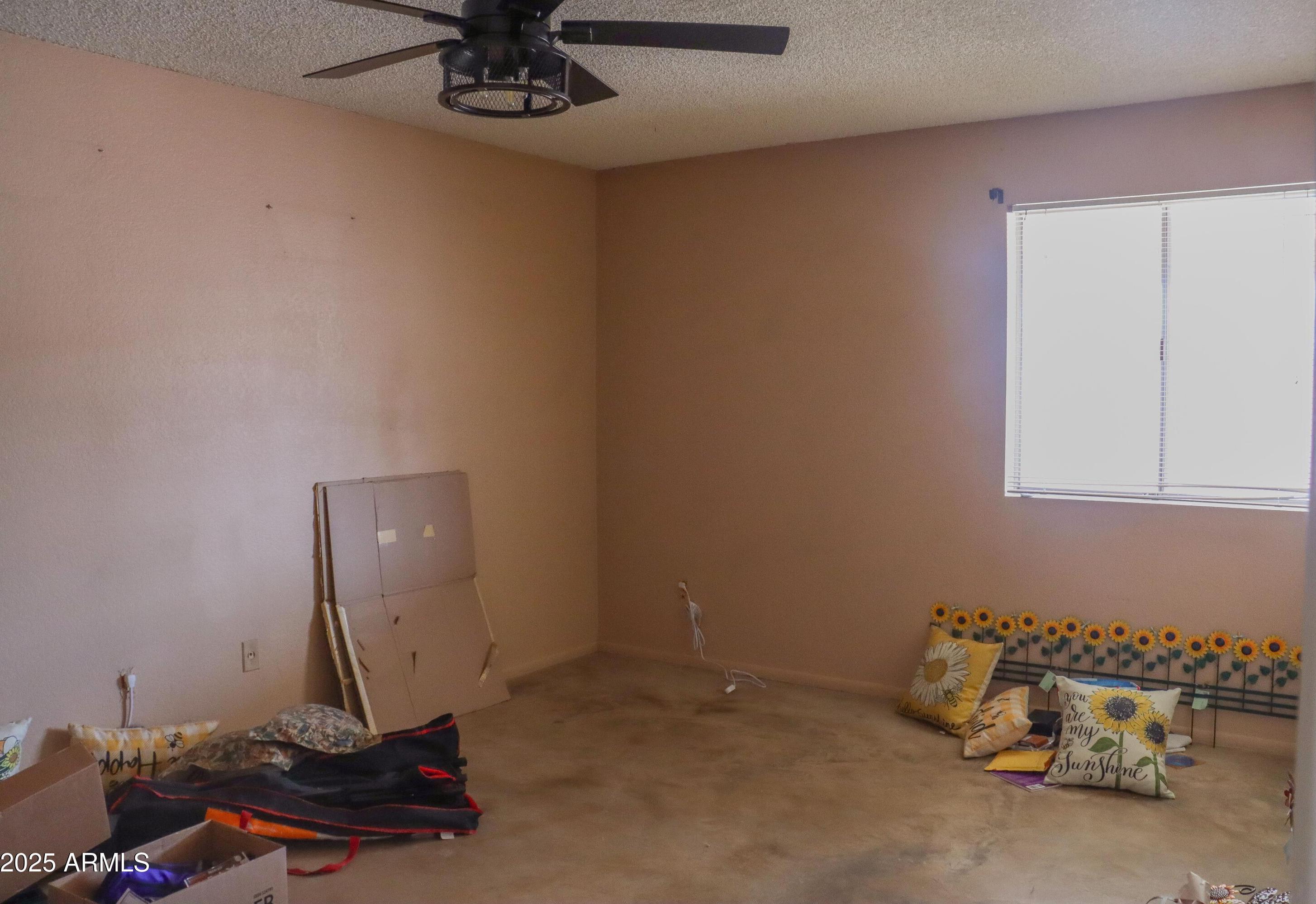 Photo #21