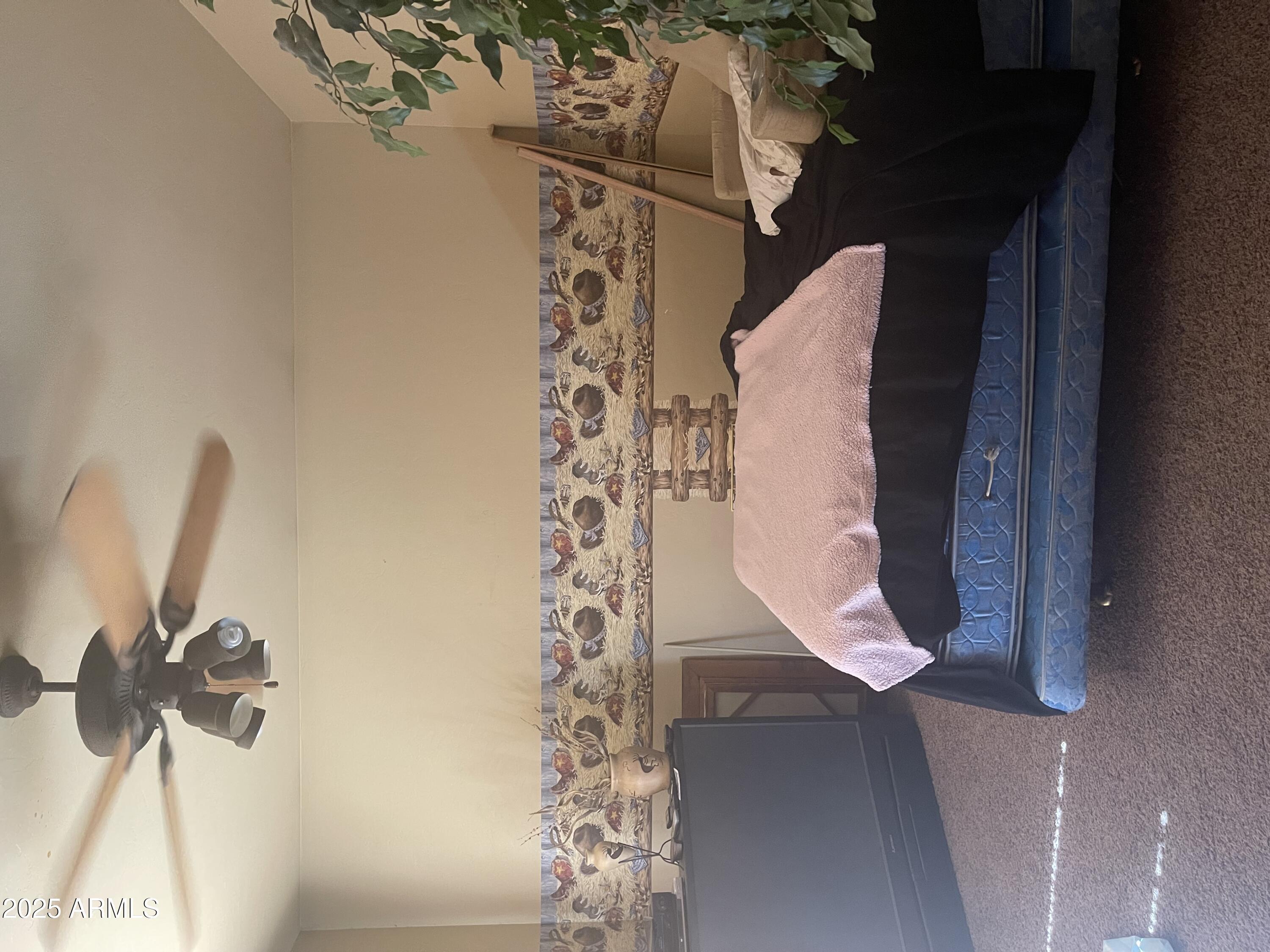 Photo #42