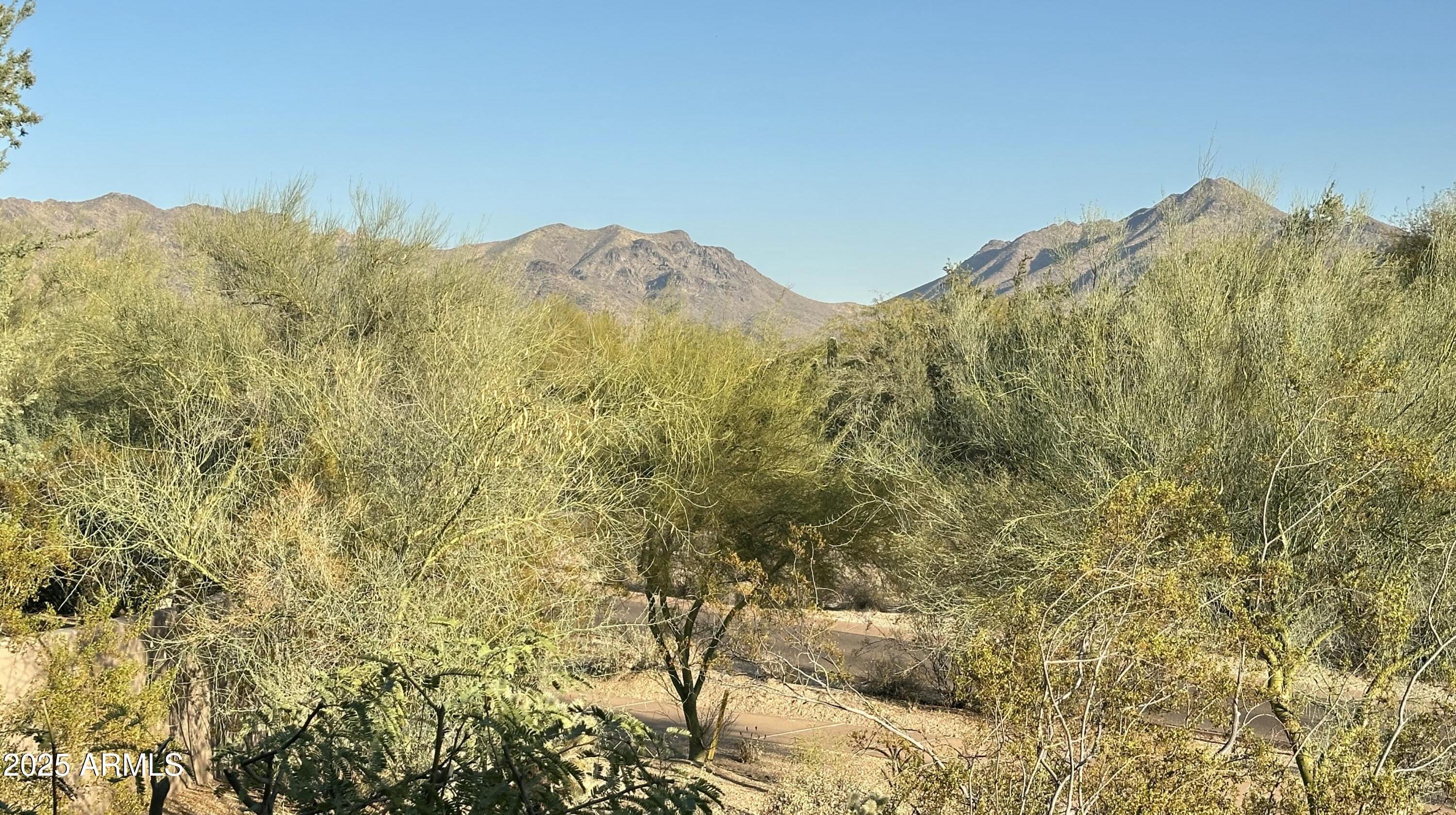 Photo #46