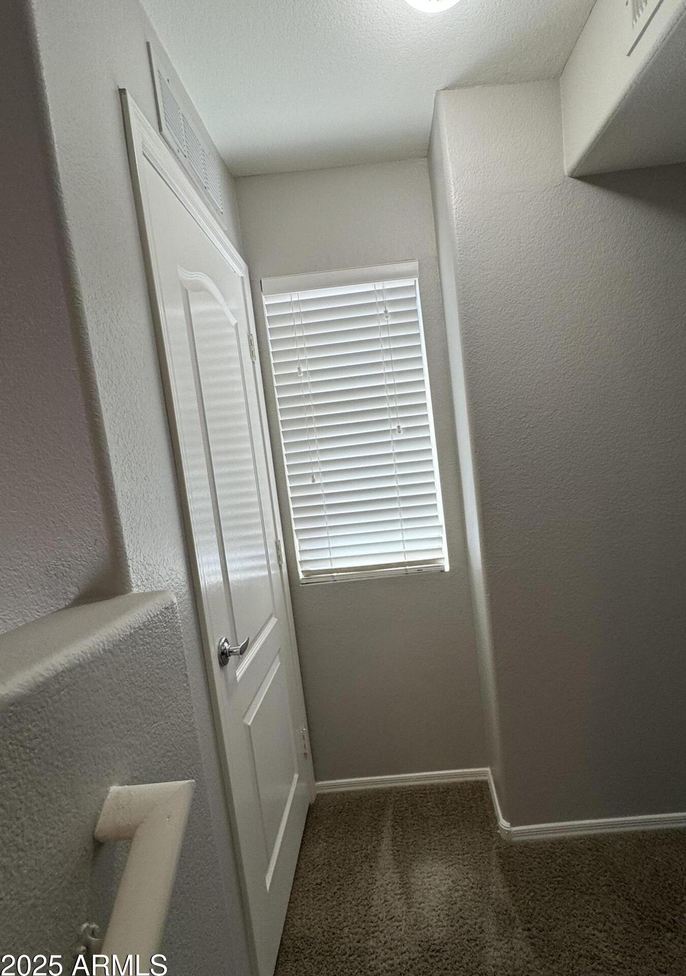 Photo #12
