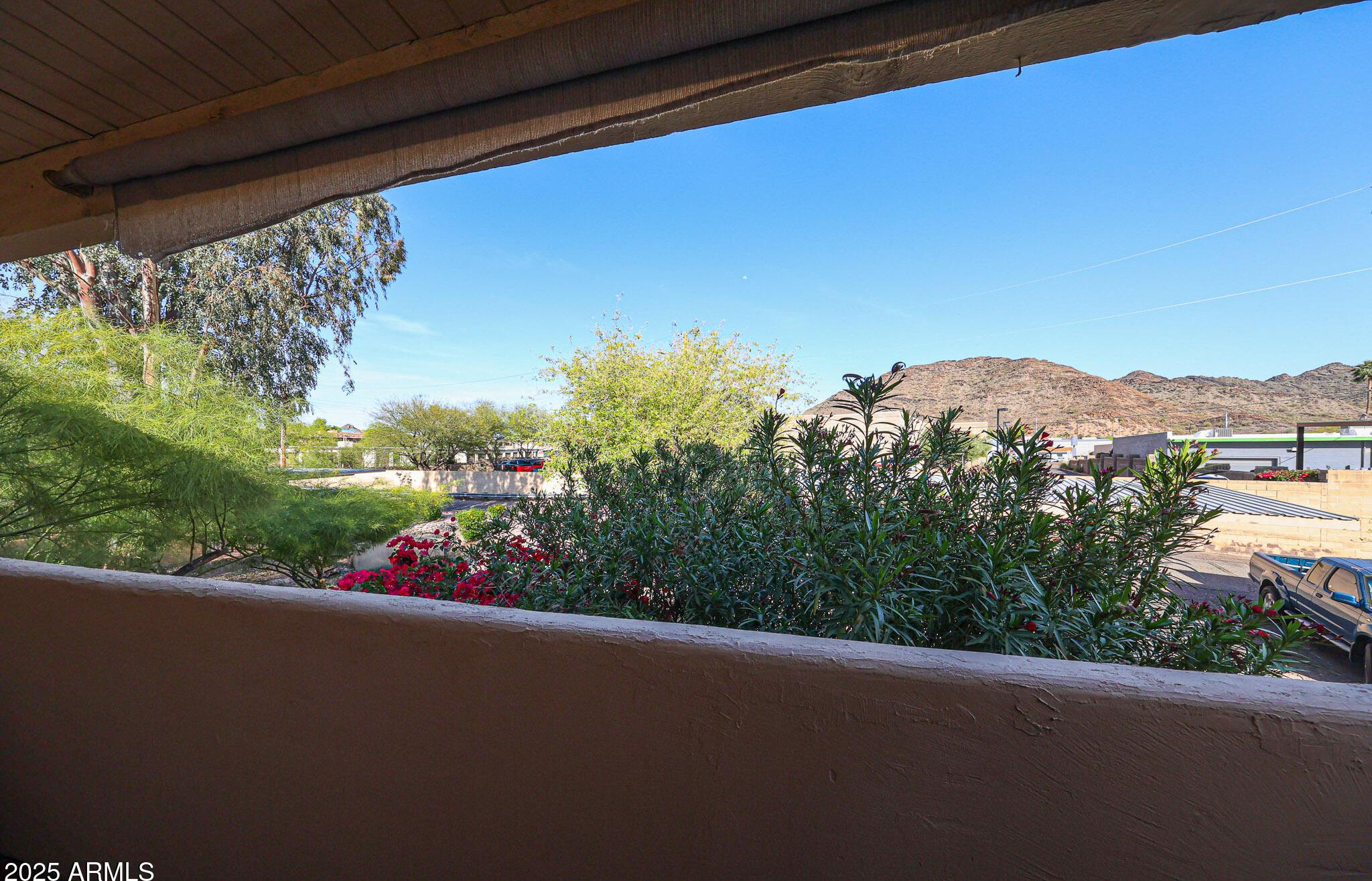 Photo #22