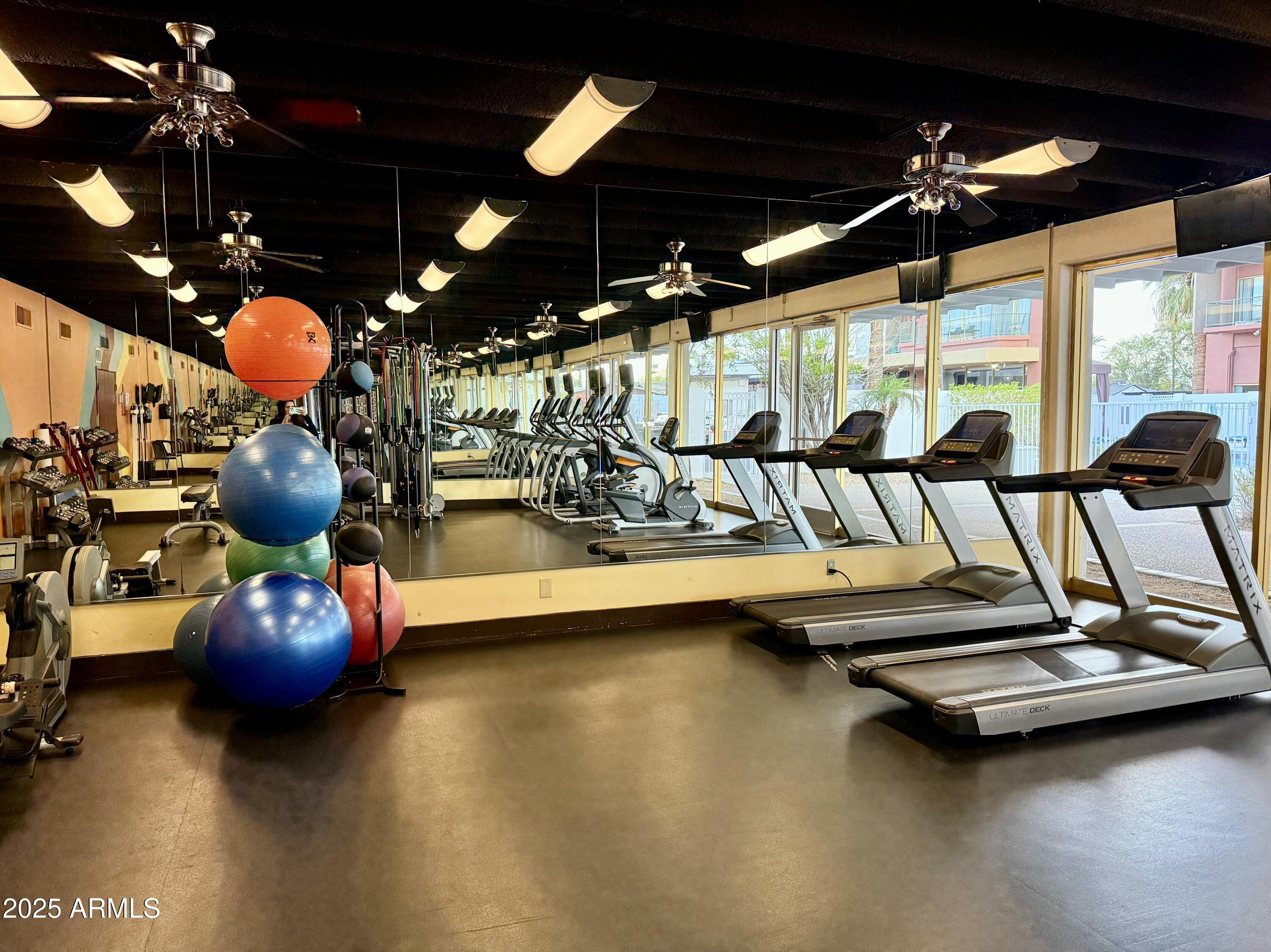 Photo #41