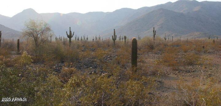 Photo #40