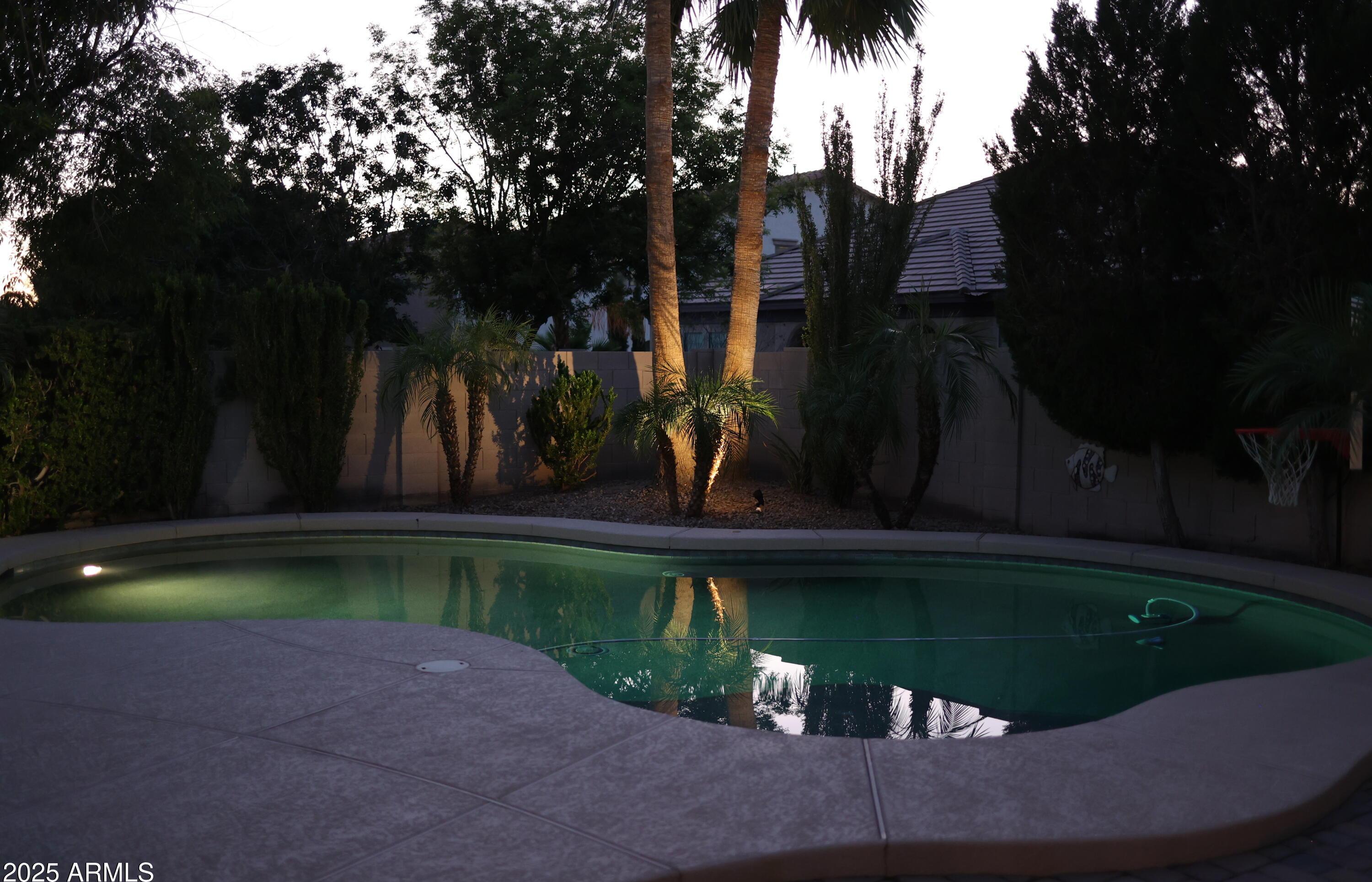 Photo #80