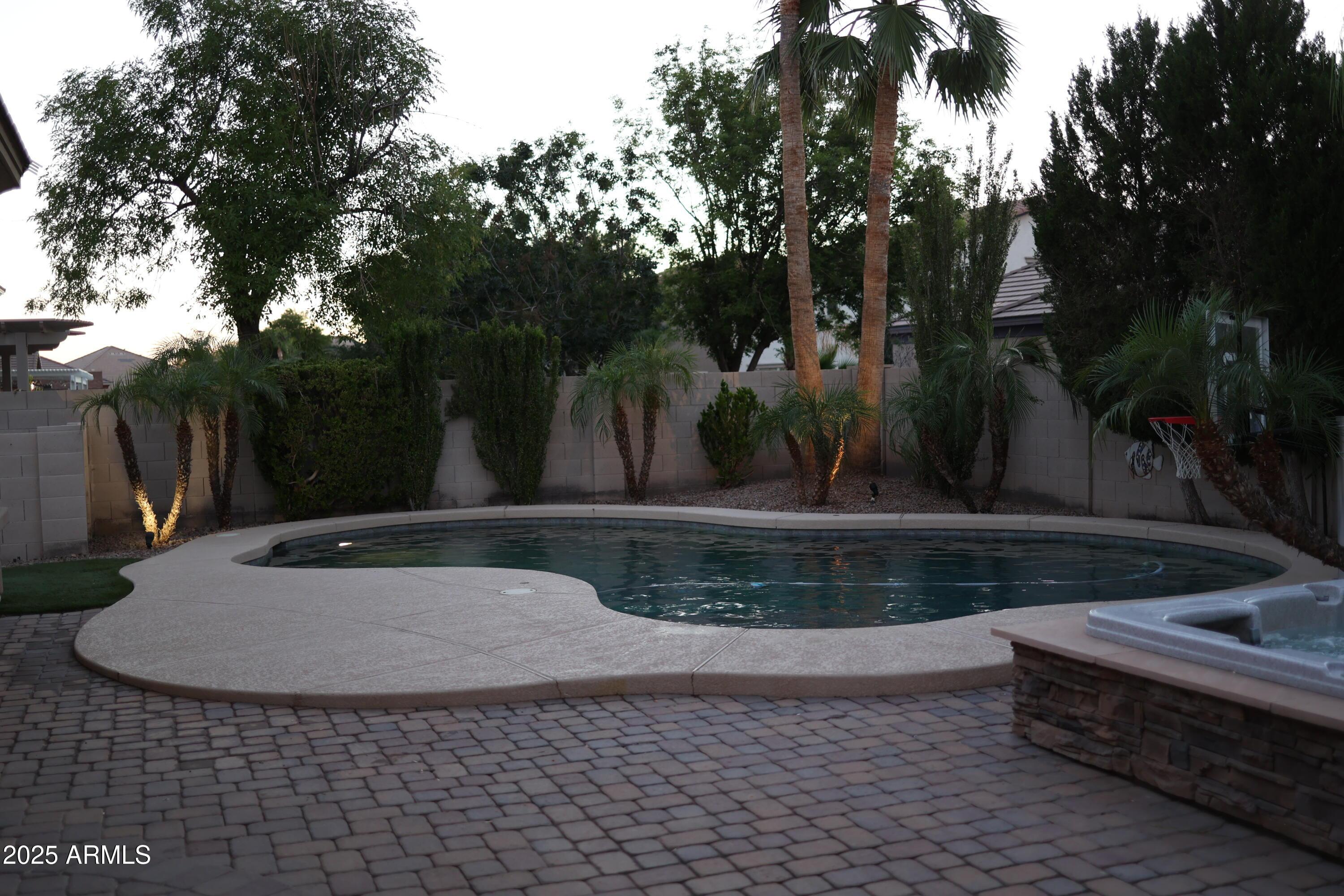 Photo #77