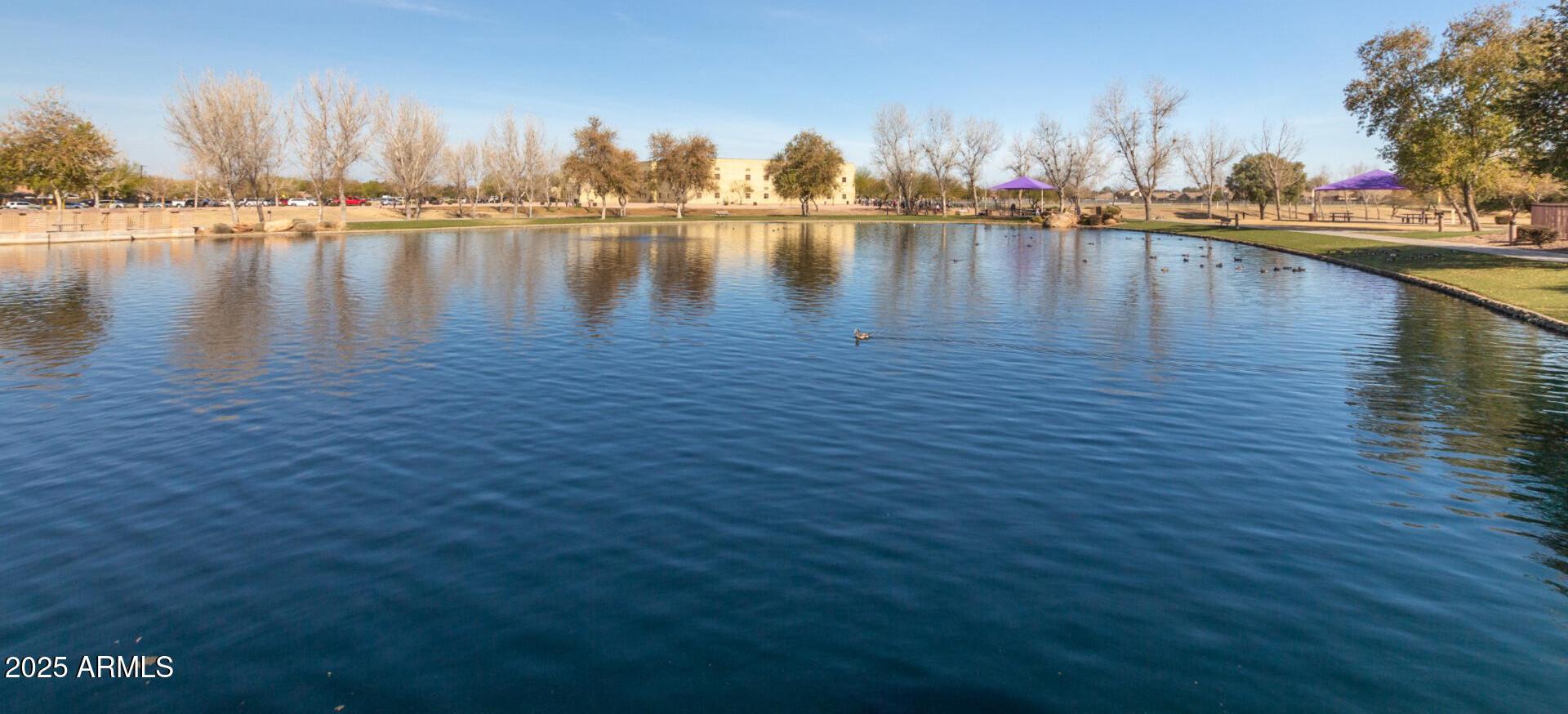 Photo #43