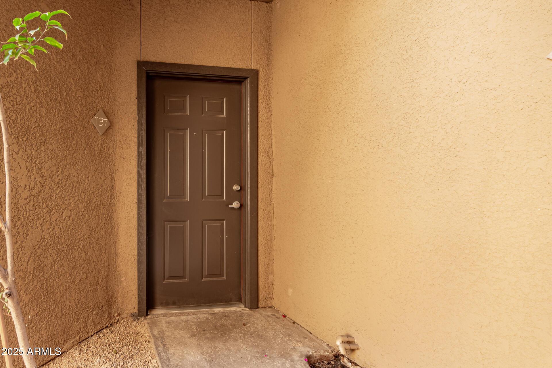 Photo #3
