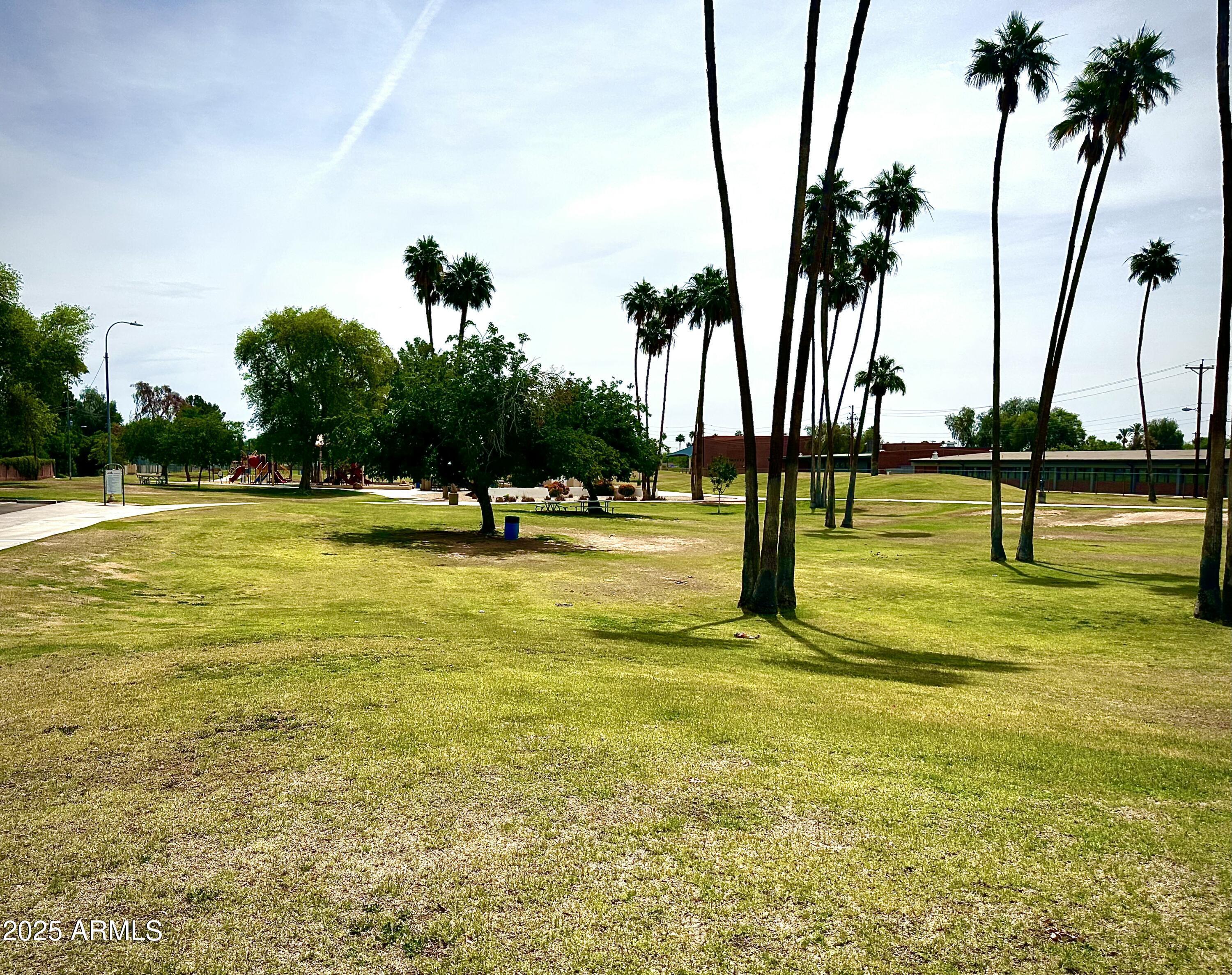 Photo #43