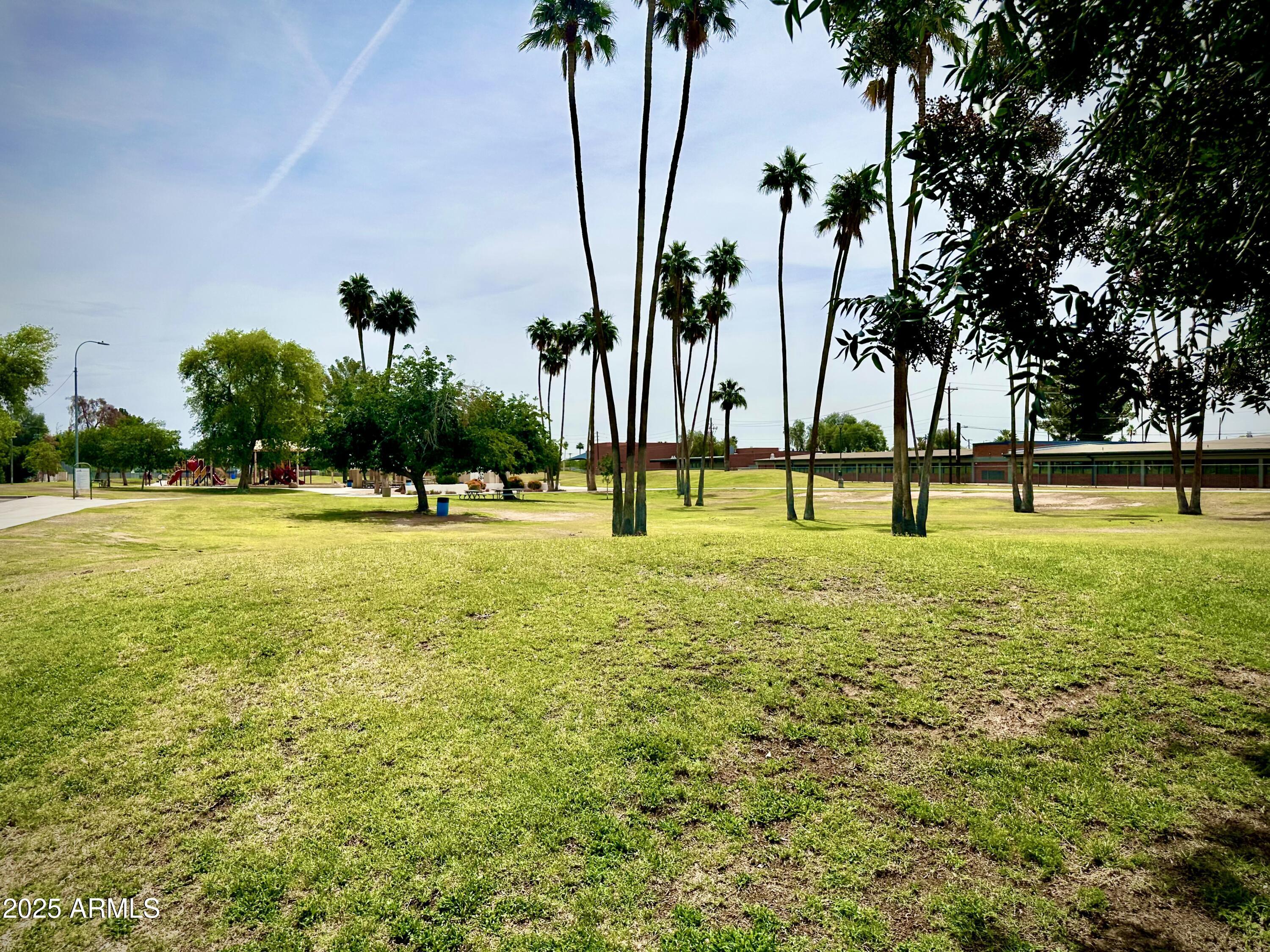 Photo #42