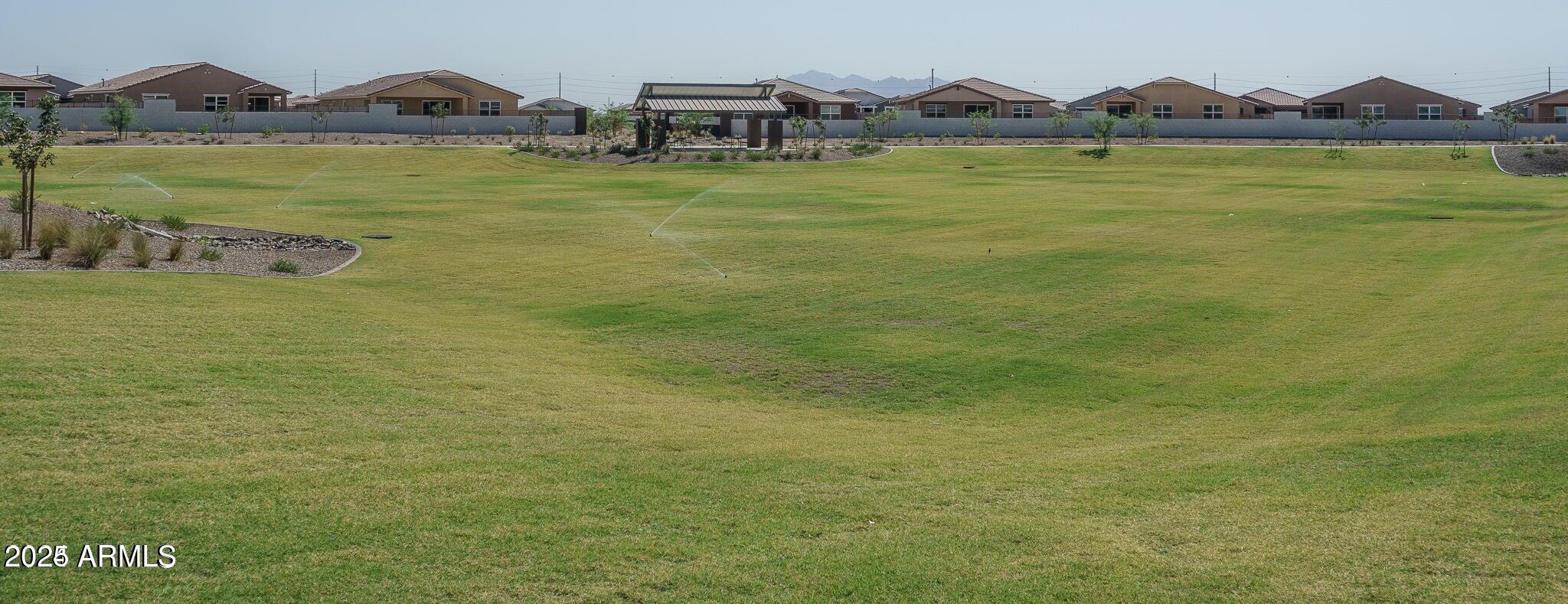 Photo #62