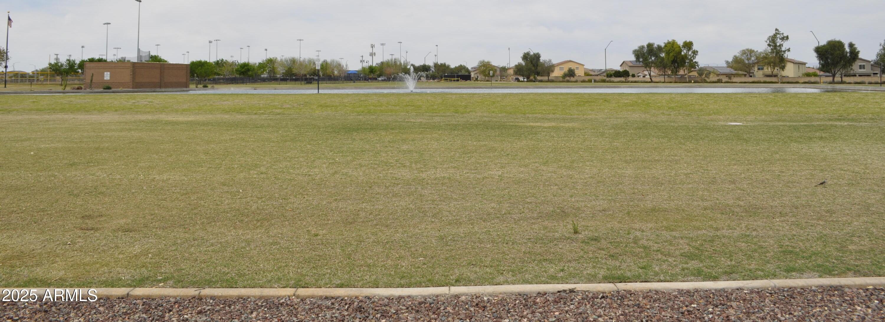 Photo #44