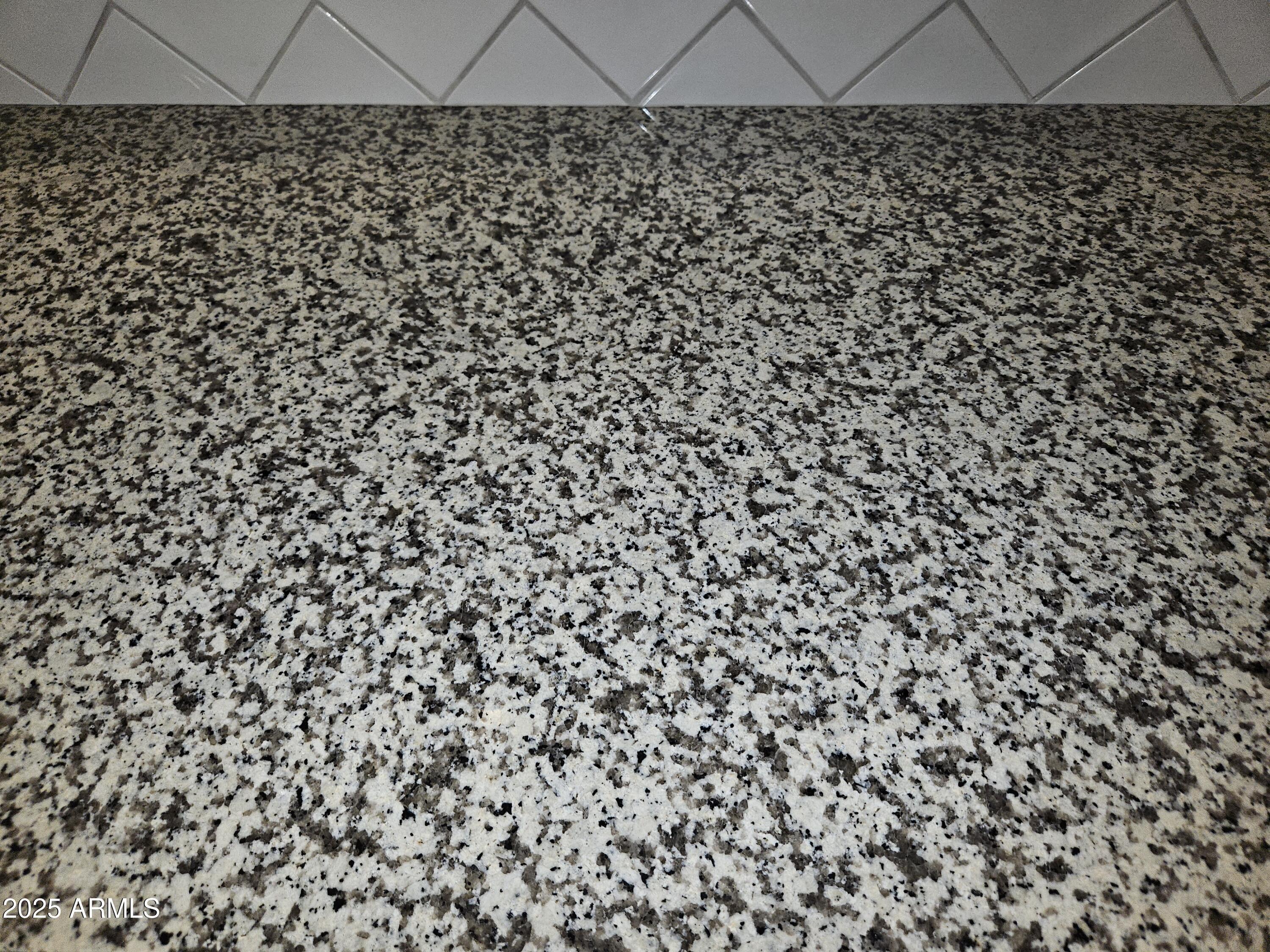 Photo #11