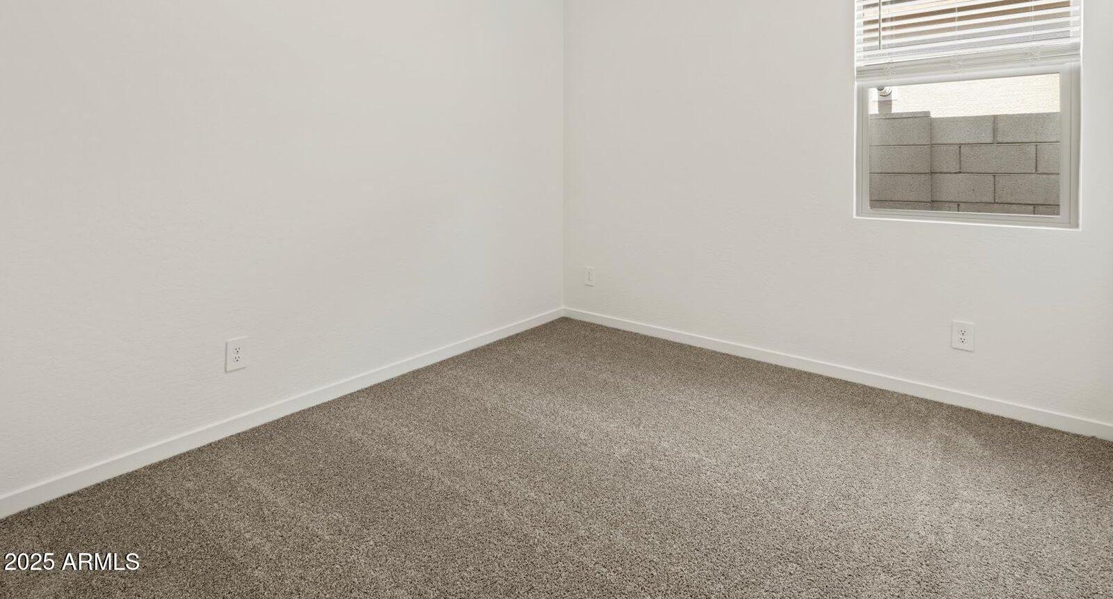 Photo #10
