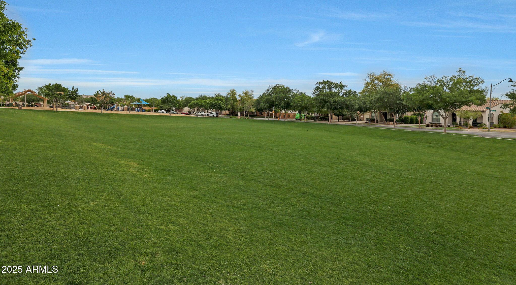 Photo #118