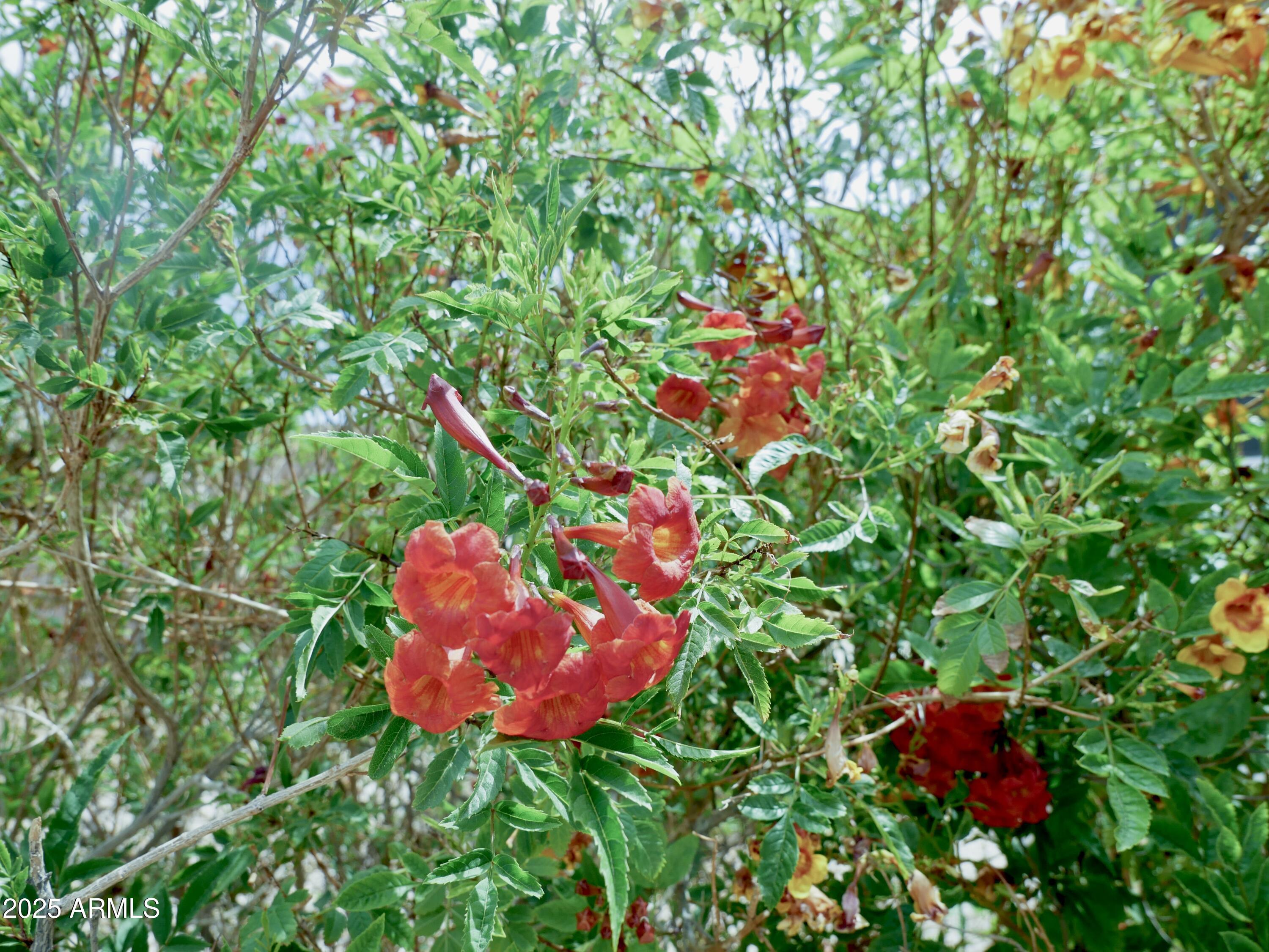 Photo #60