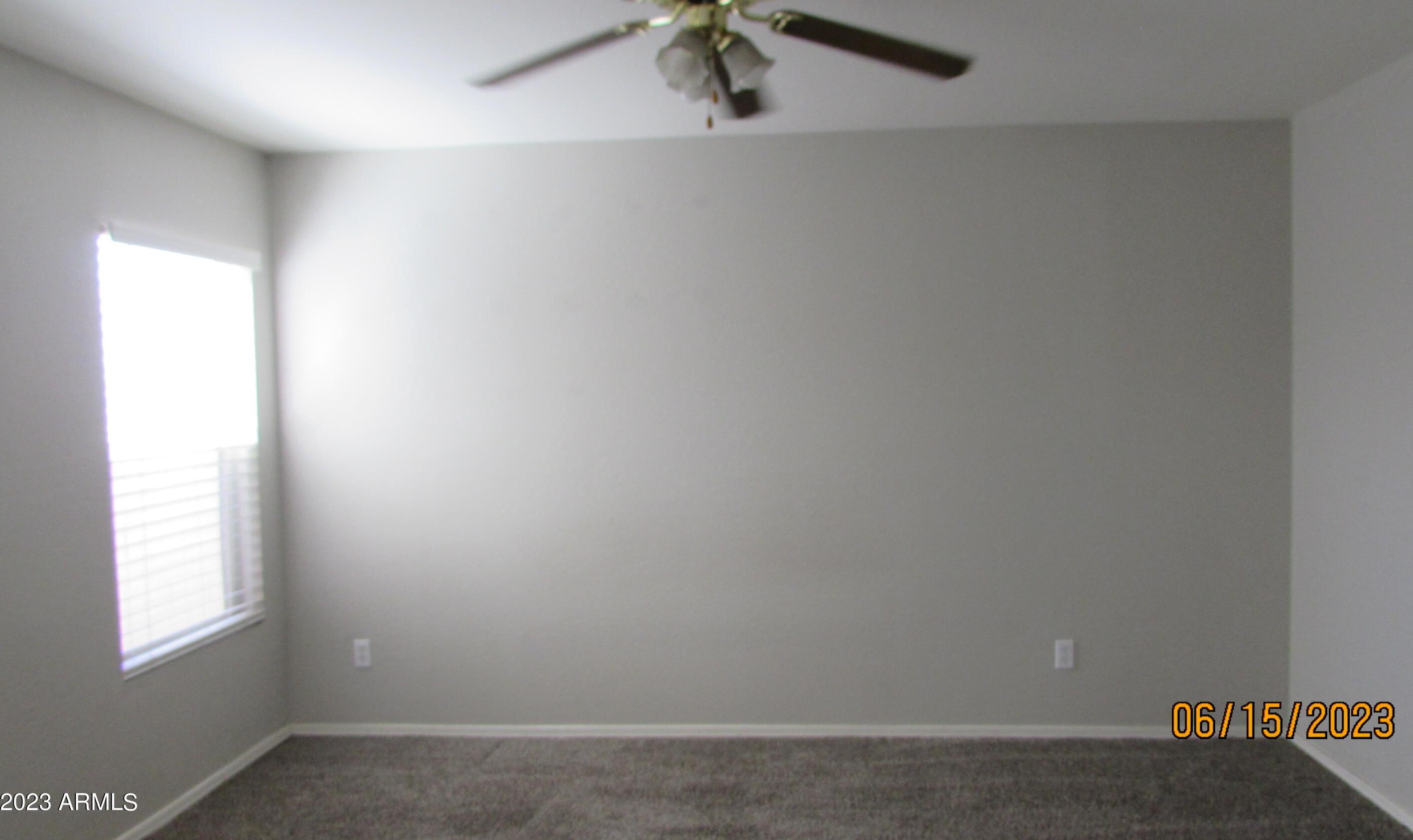Photo #11