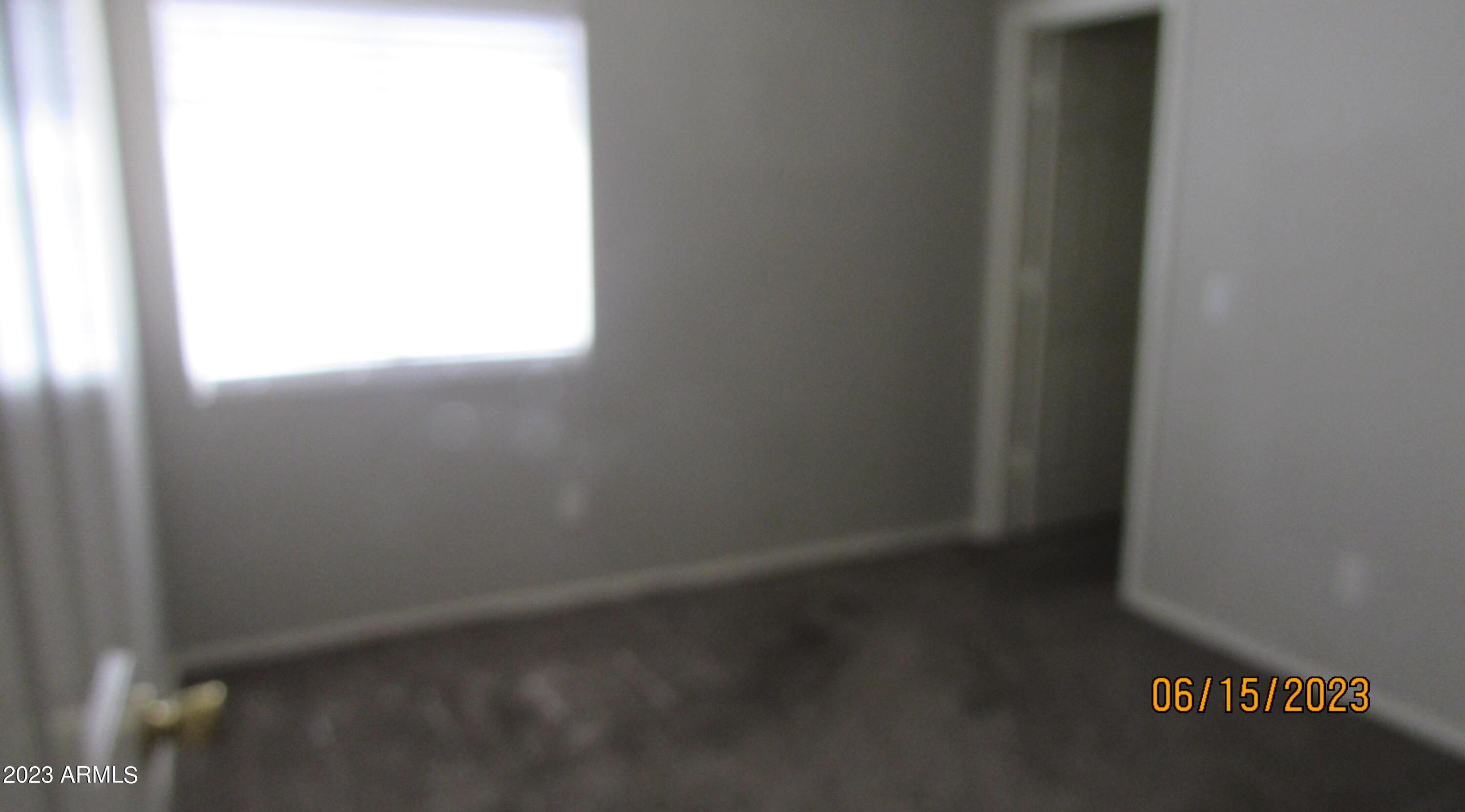 Photo #19