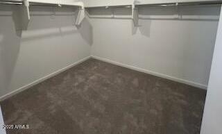 Photo #13