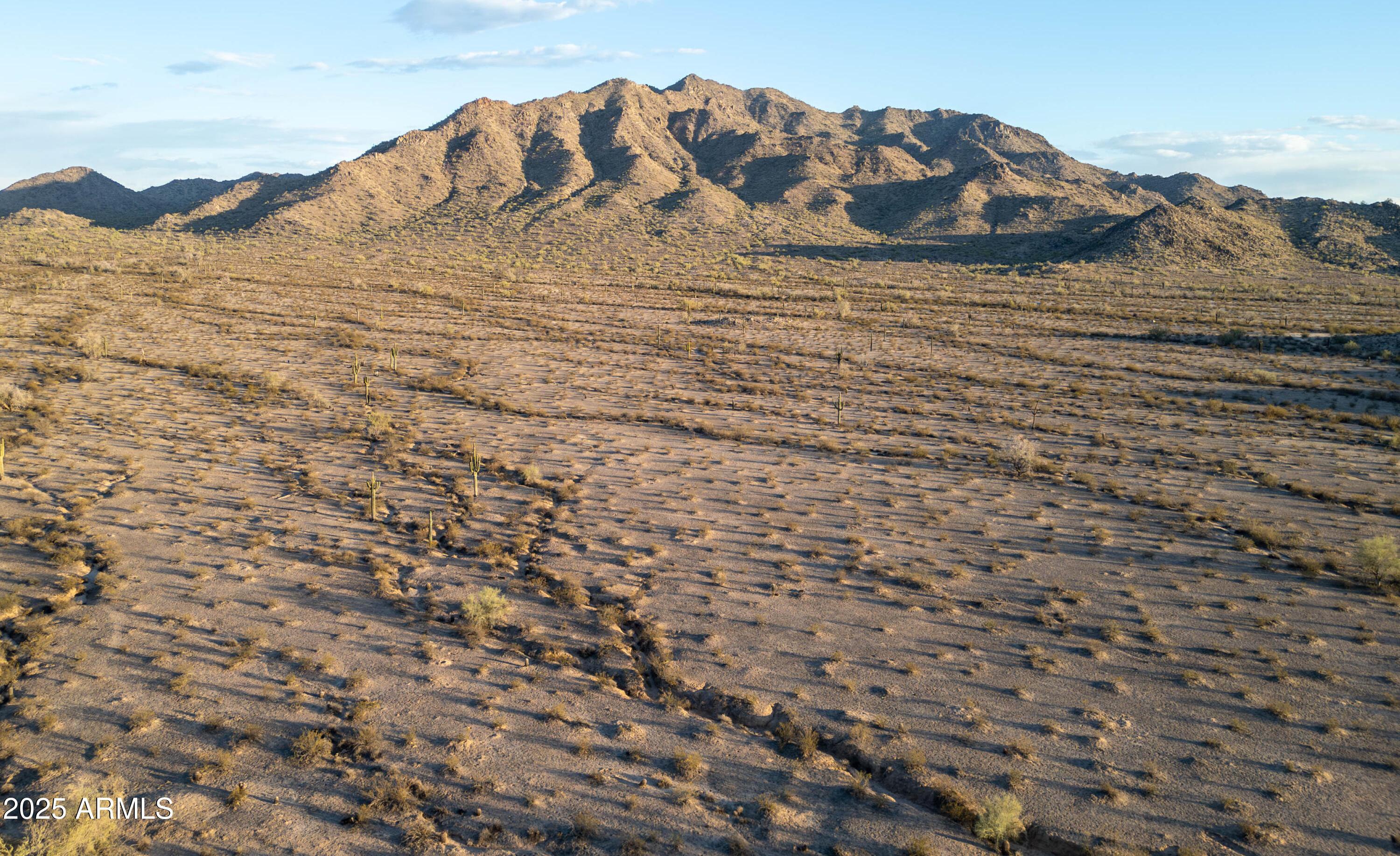 Photo #48
