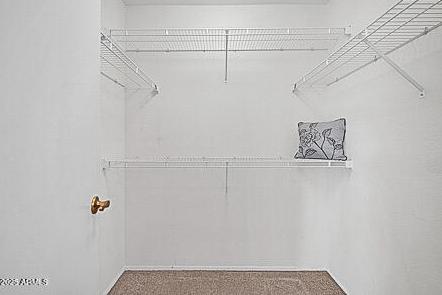 Photo #16