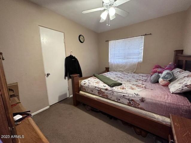 Photo #7