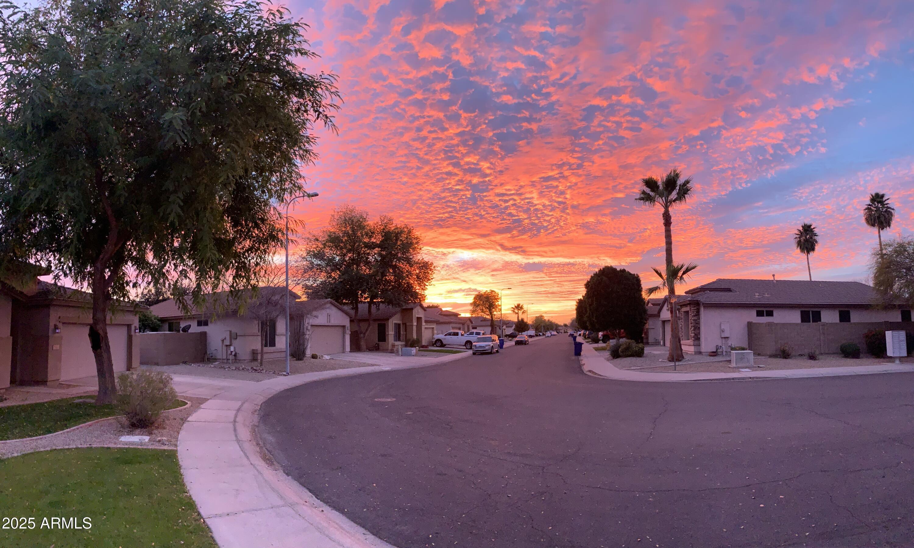 Photo #42