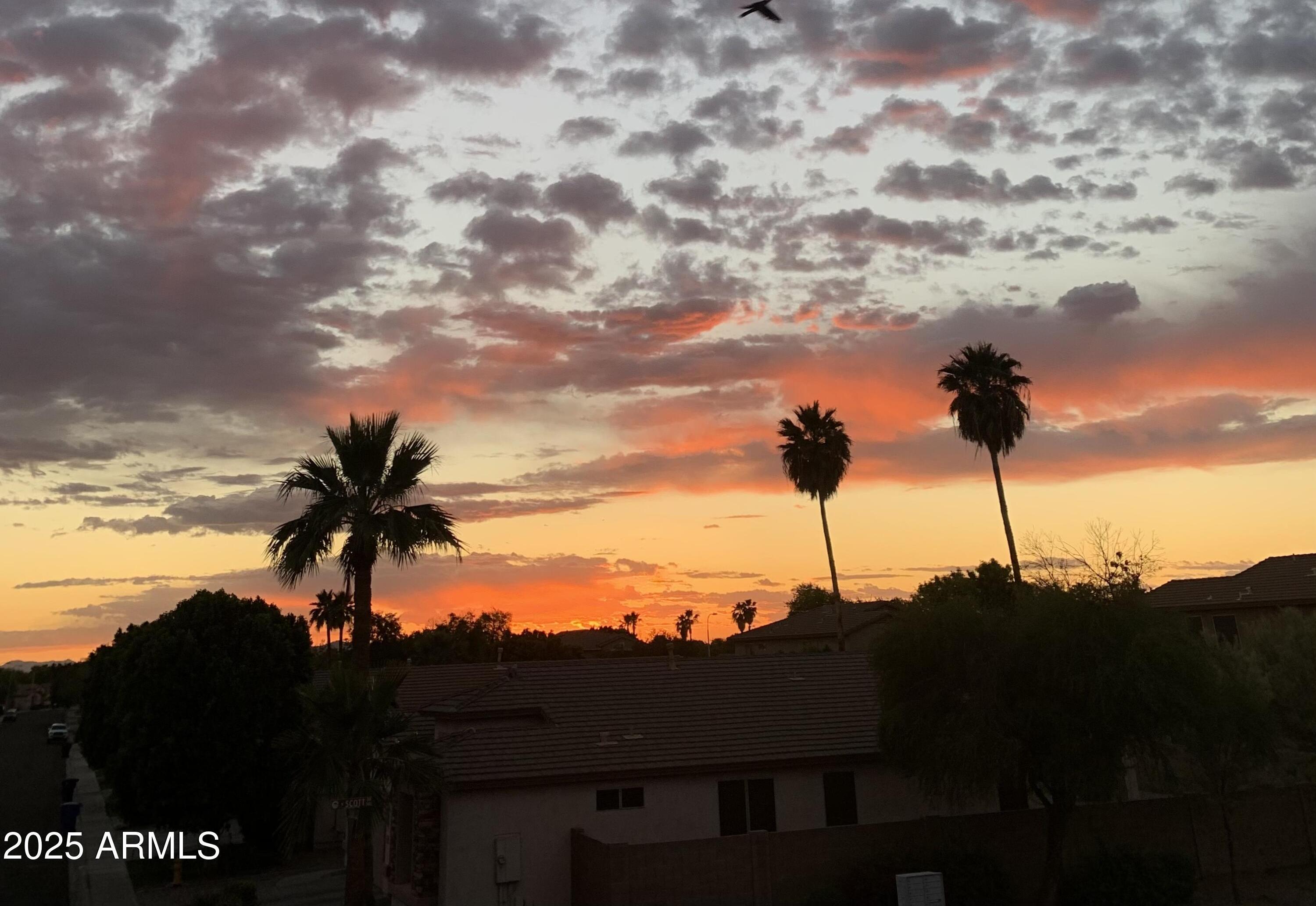 Photo #43