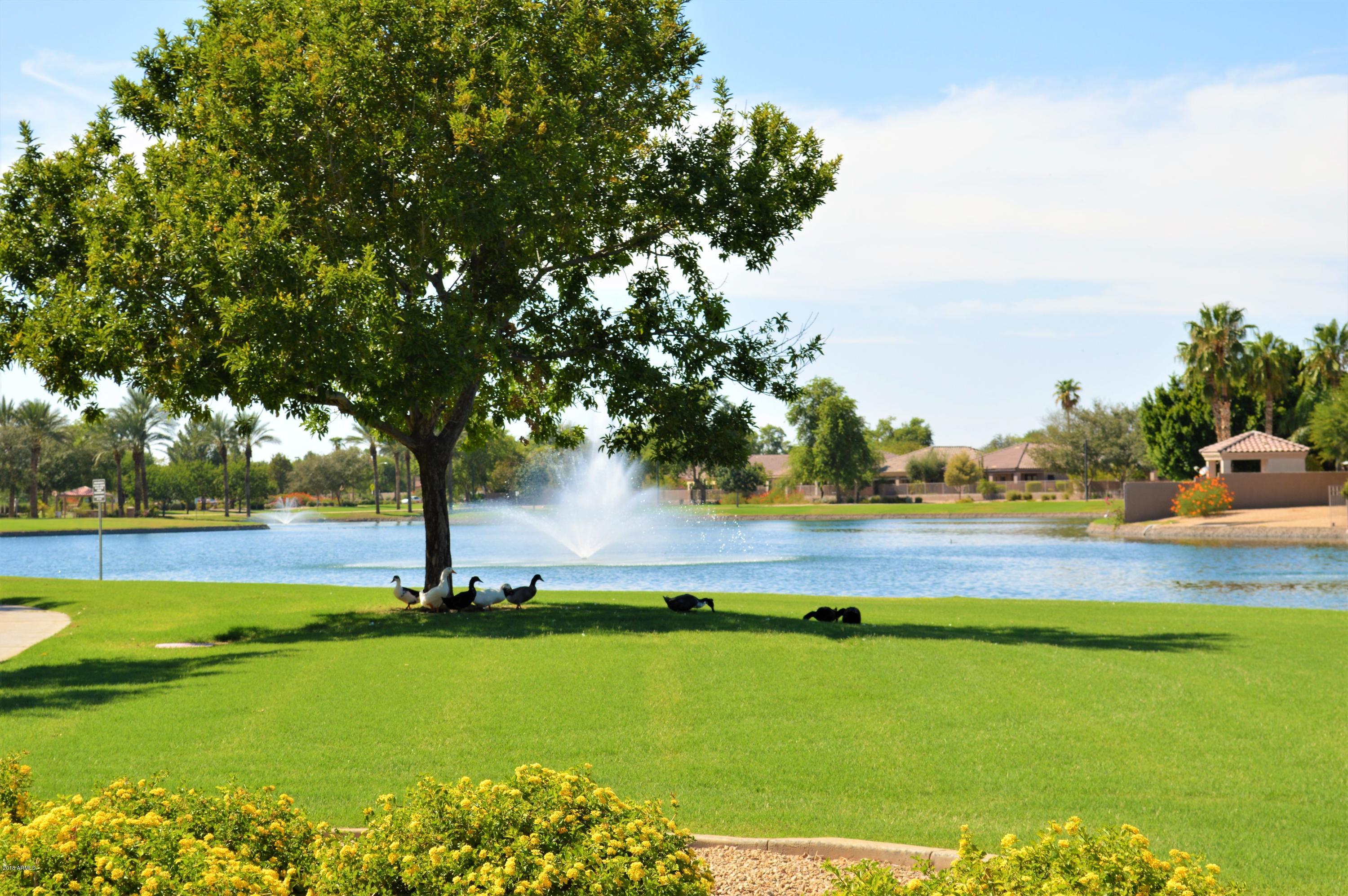 Photo #47