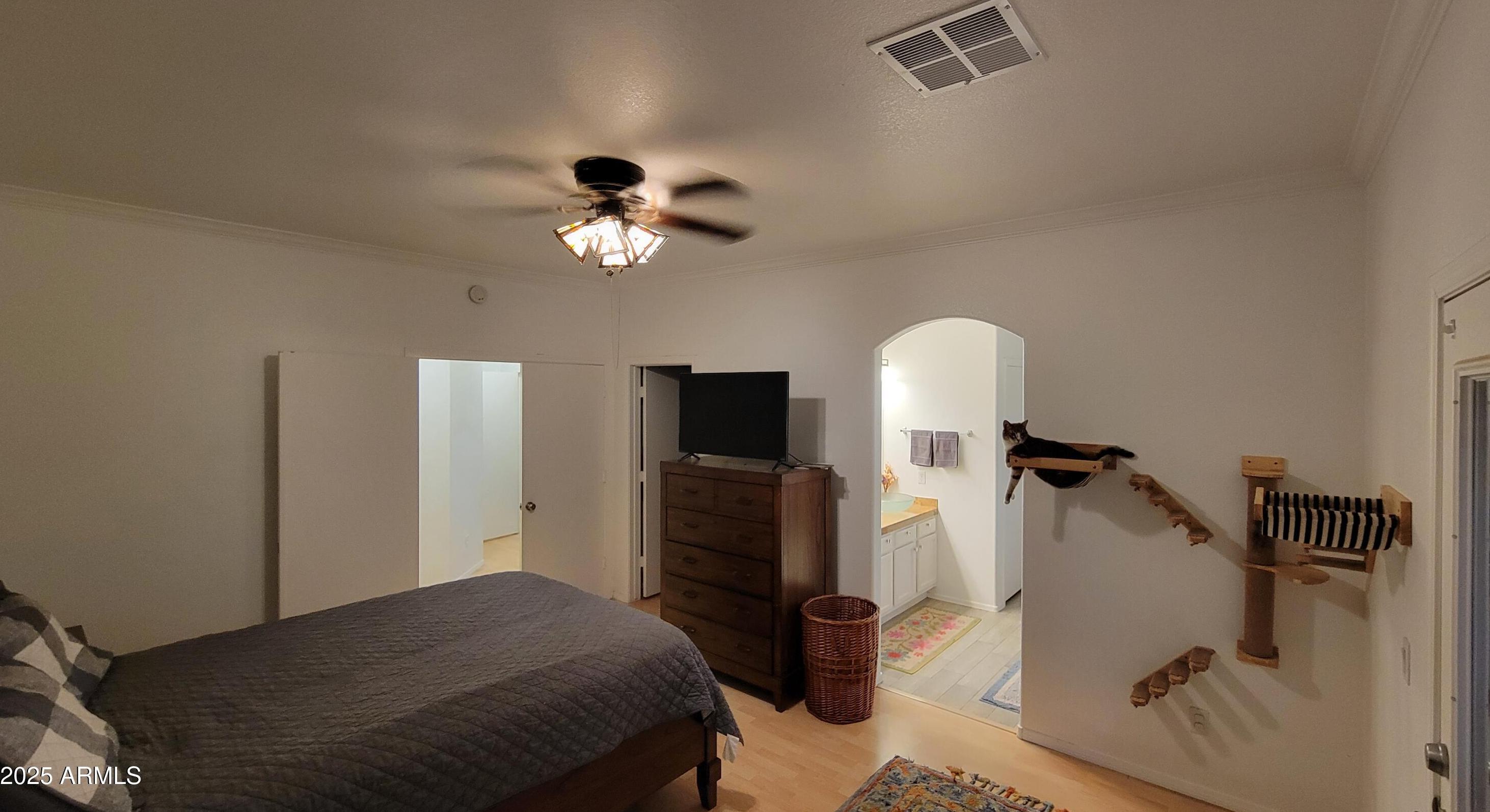 Photo #13