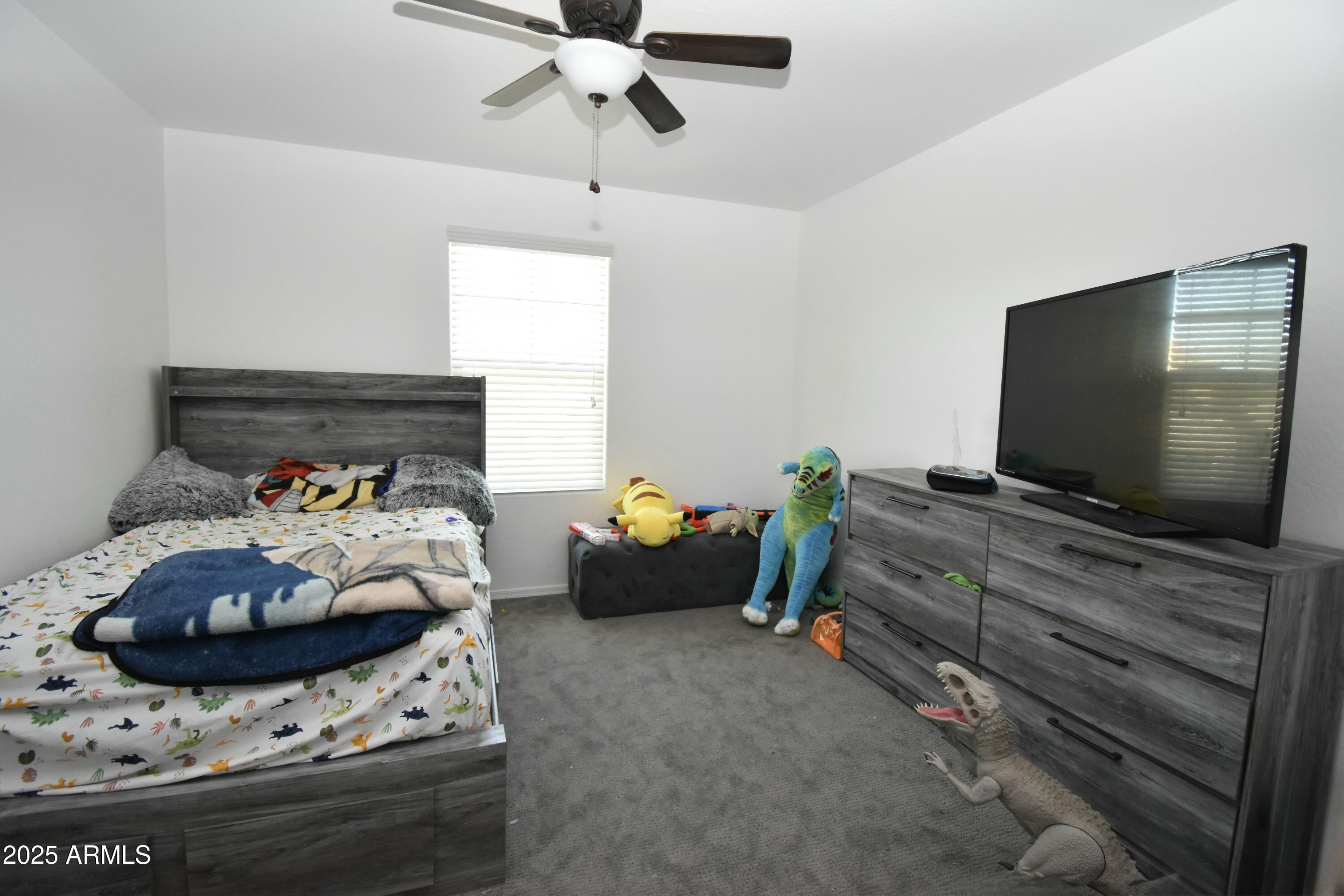 Photo #13