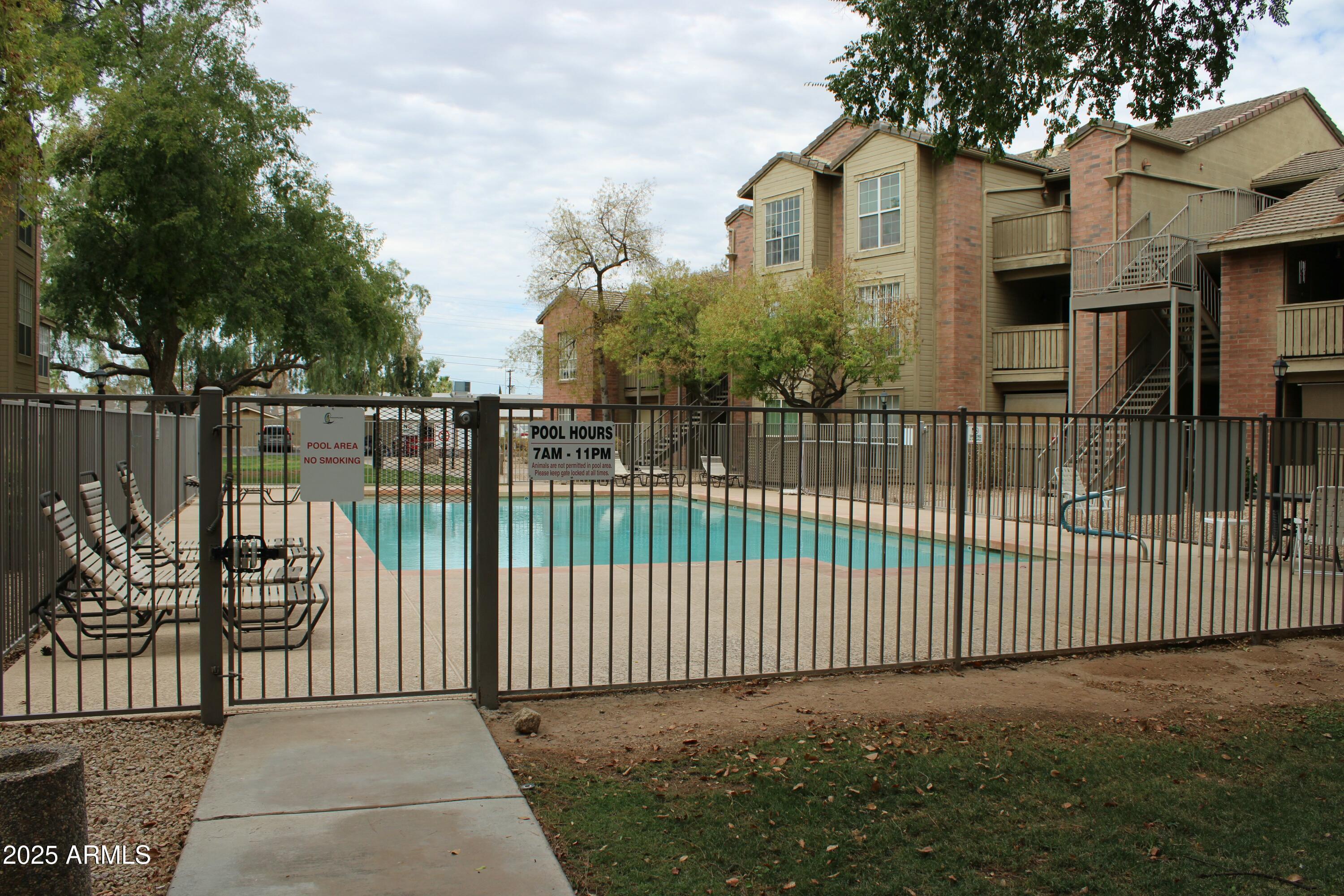 Photo #4