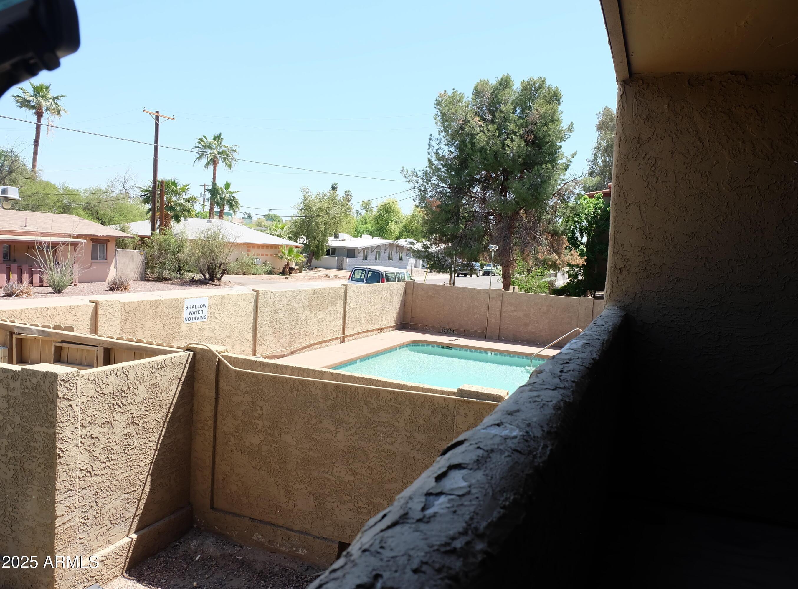 Photo #12