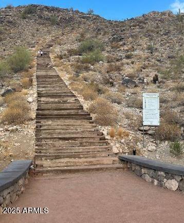 Photo #53