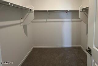Photo #11
